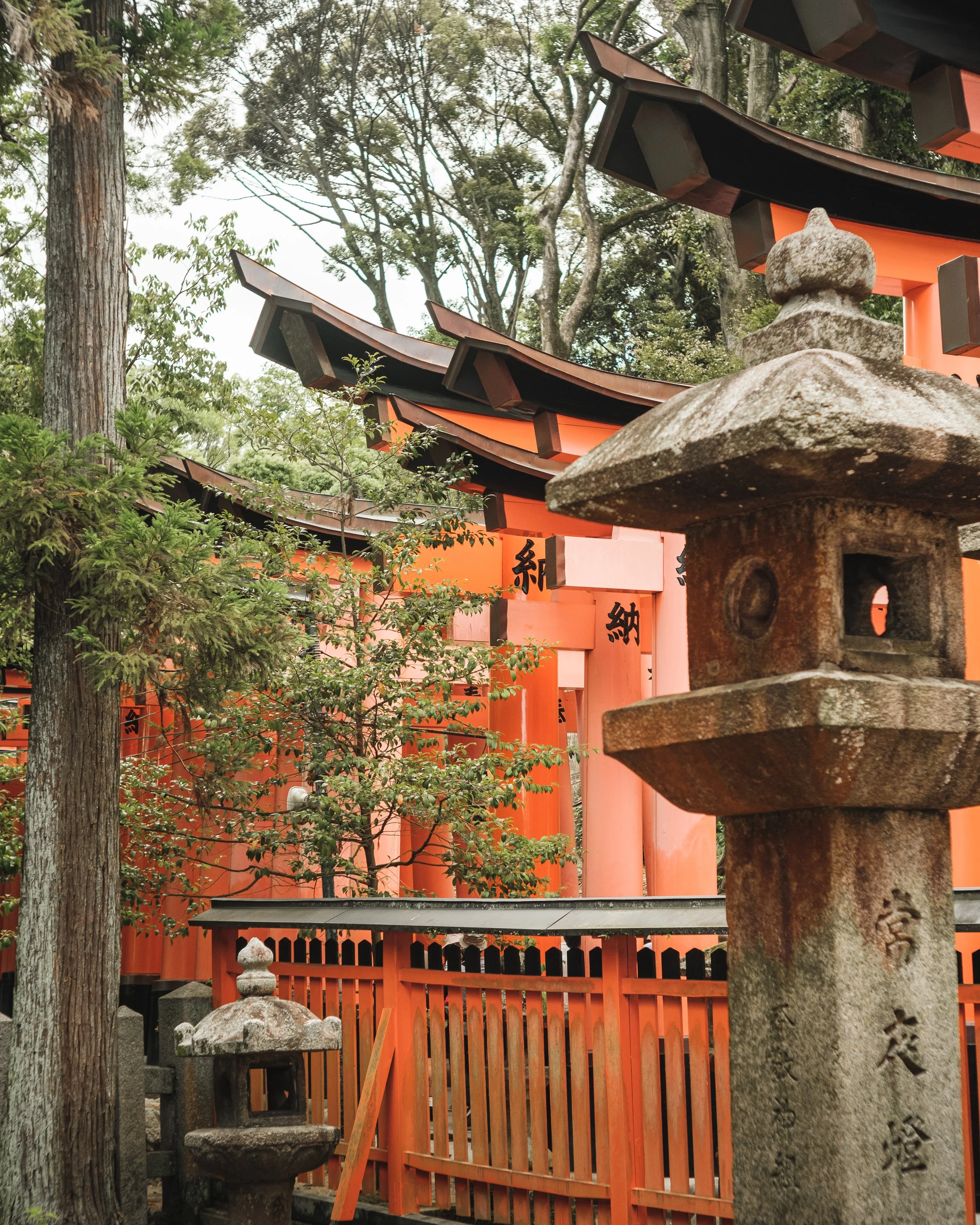 Traditional Japanese shrine with bright orange torii gates, stone lanterns, and surrounding trees.