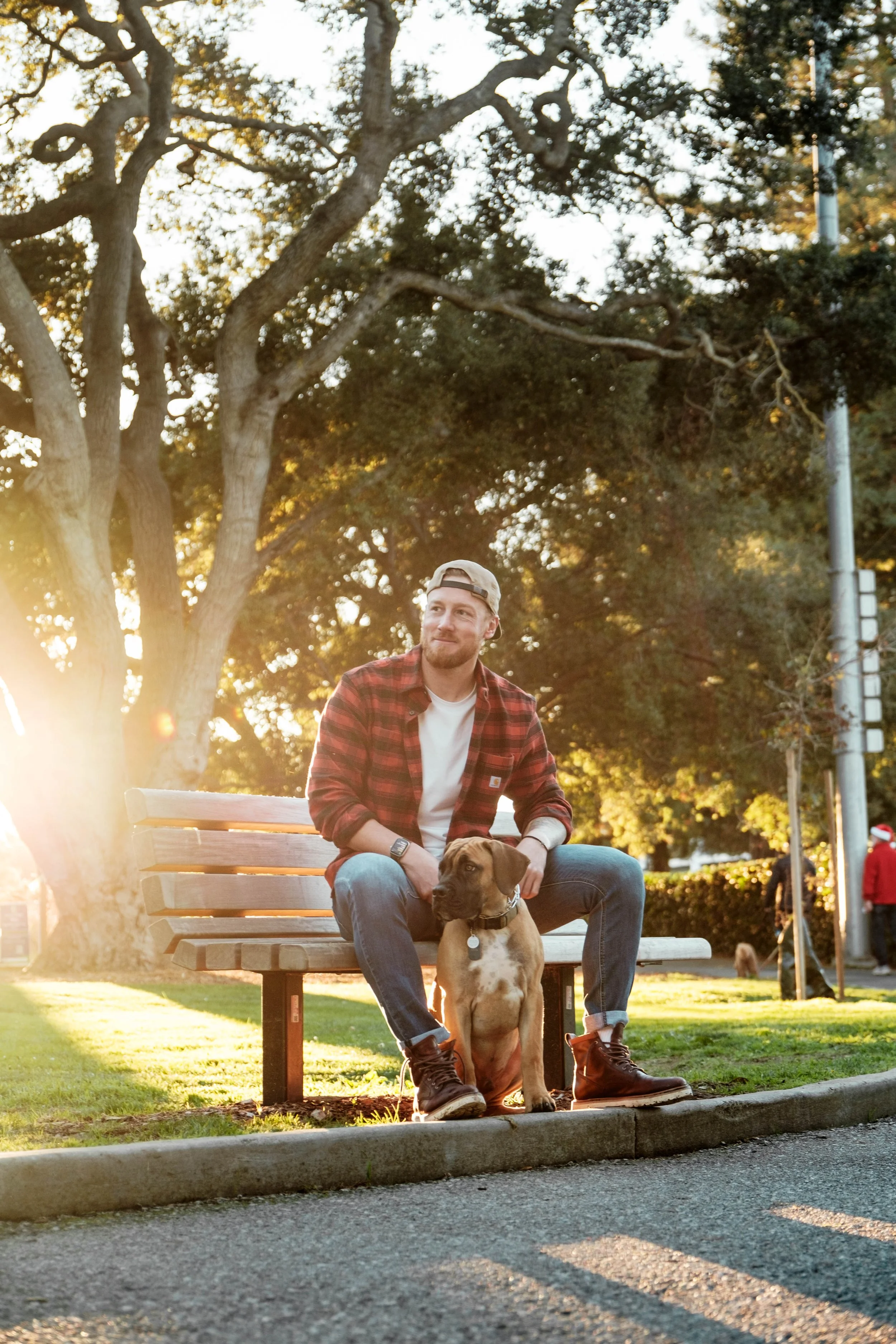 A man in a red plaid shirt and baseball cap sitting on a park bench with a brown dog in front of him, during golden hour sunlight.