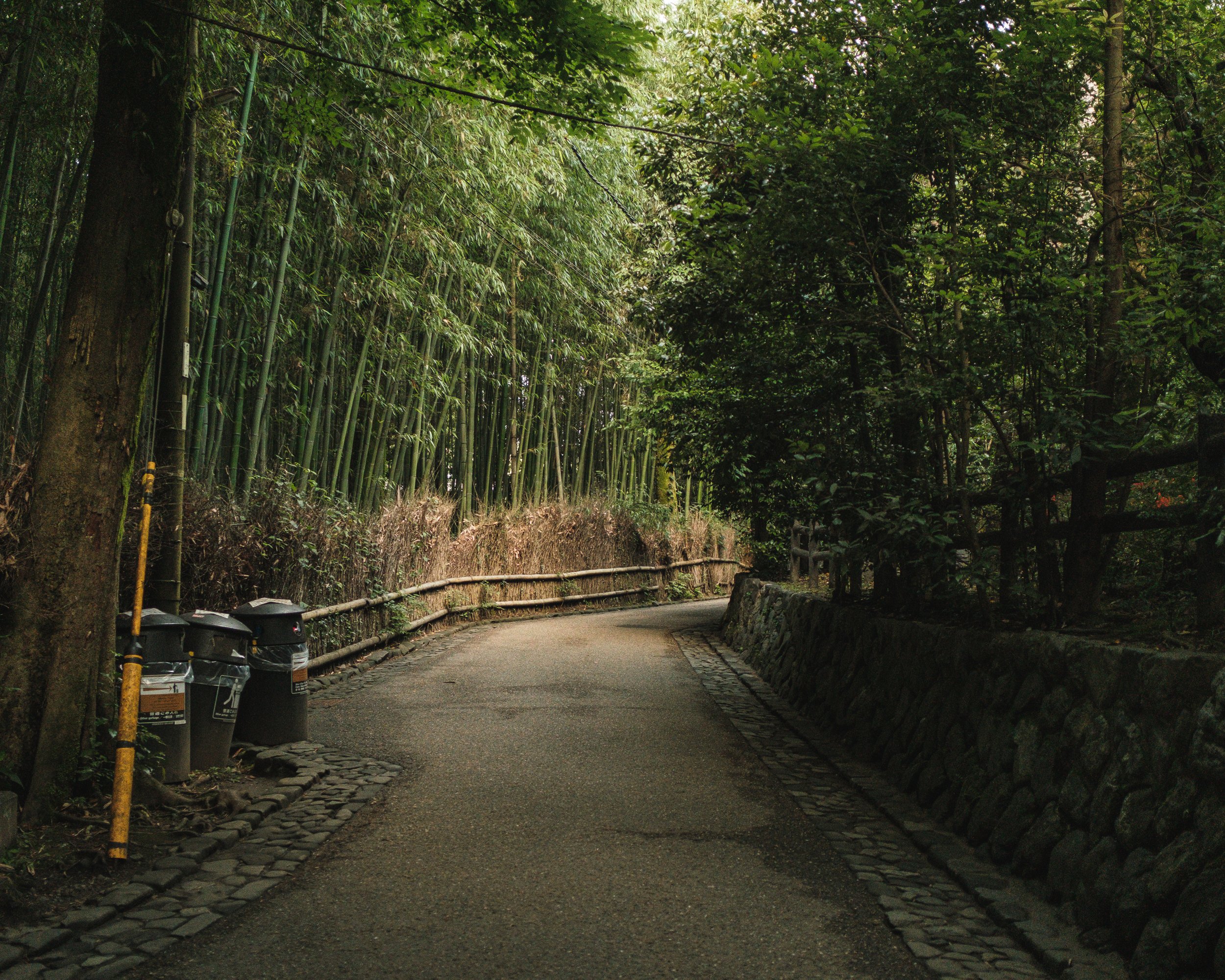 A narrow, winding stone pathway surrounded by lush green trees and bamboo on both sides, with three black trash cans on the left side.