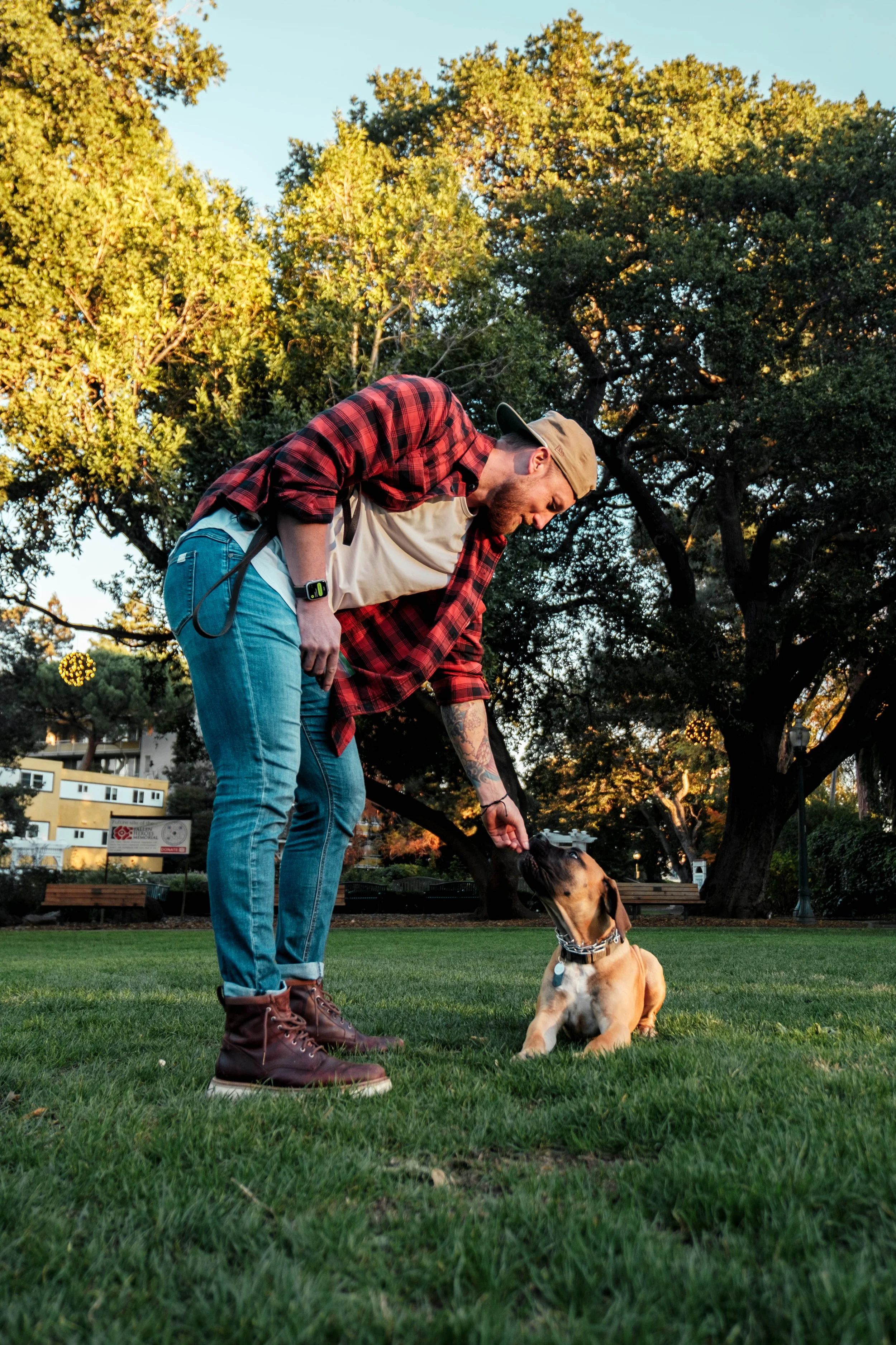 A man bends down to pet a sitting puppy in a park, surrounded by trees with sunlight filtering through the leaves.