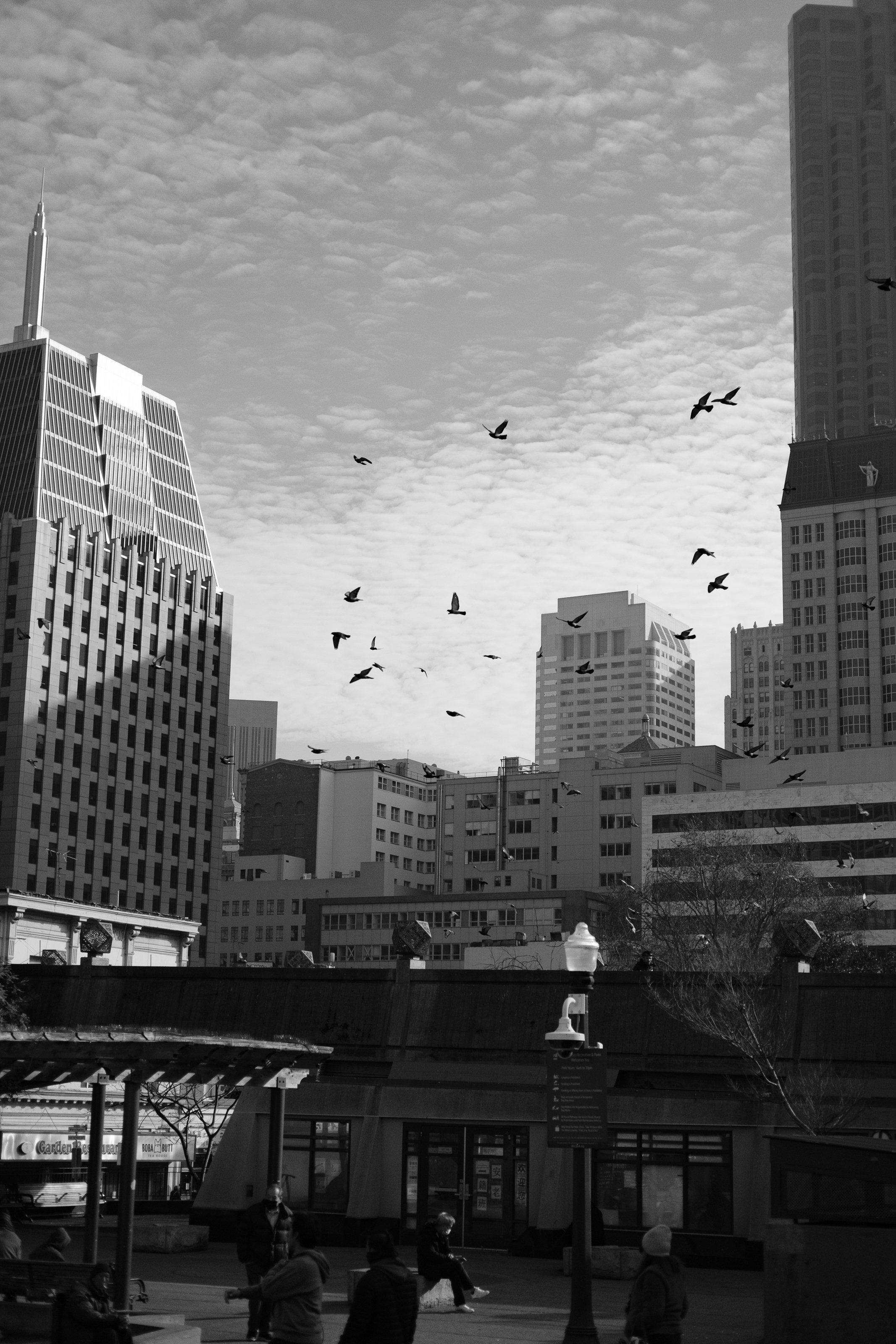 Black and white photo of a cityscape with tall buildings and a sky filled with clouds, with birds flying across.