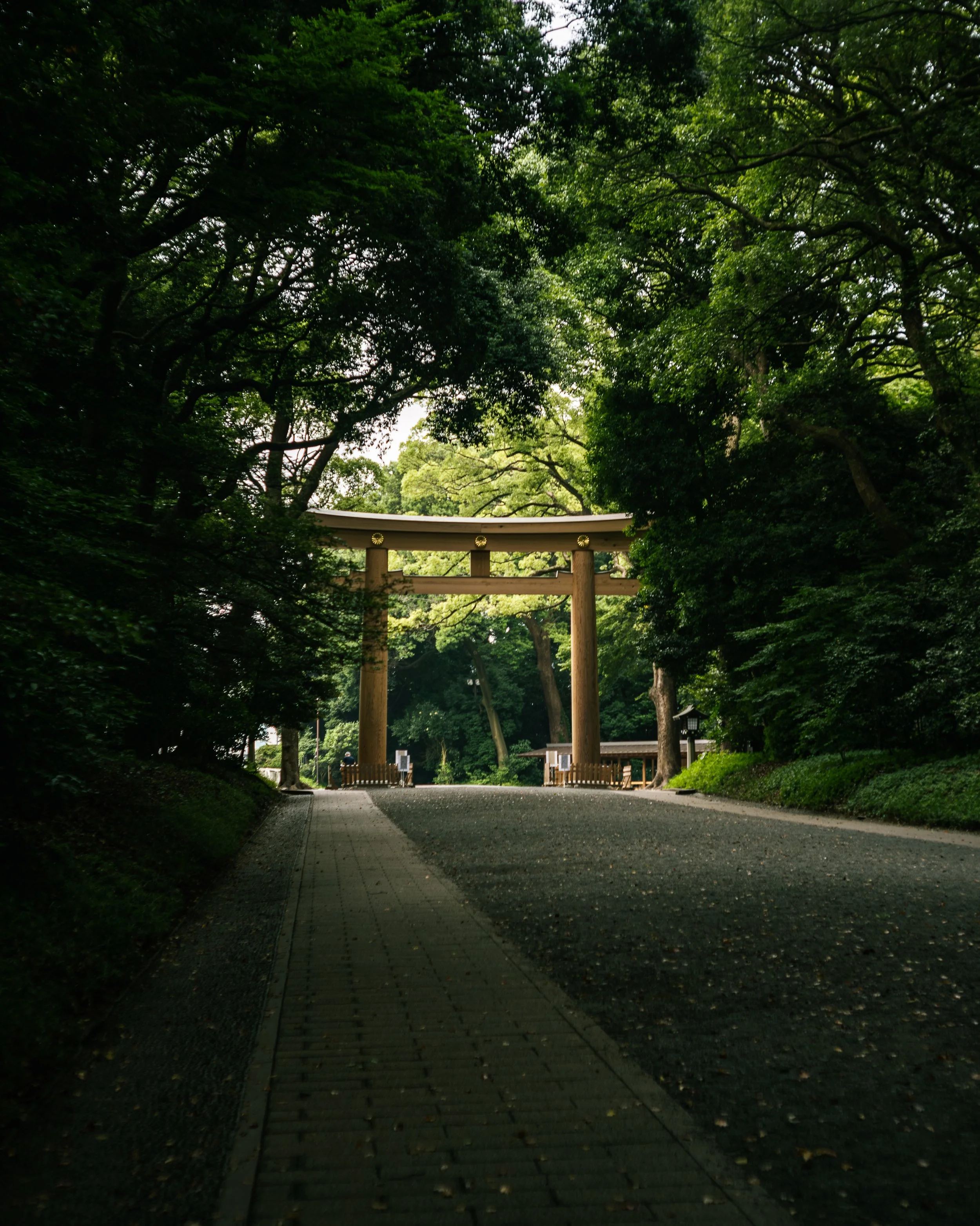 A traditional Japanese torii gate situated in a green, wooded area, with a pathway leading through it.