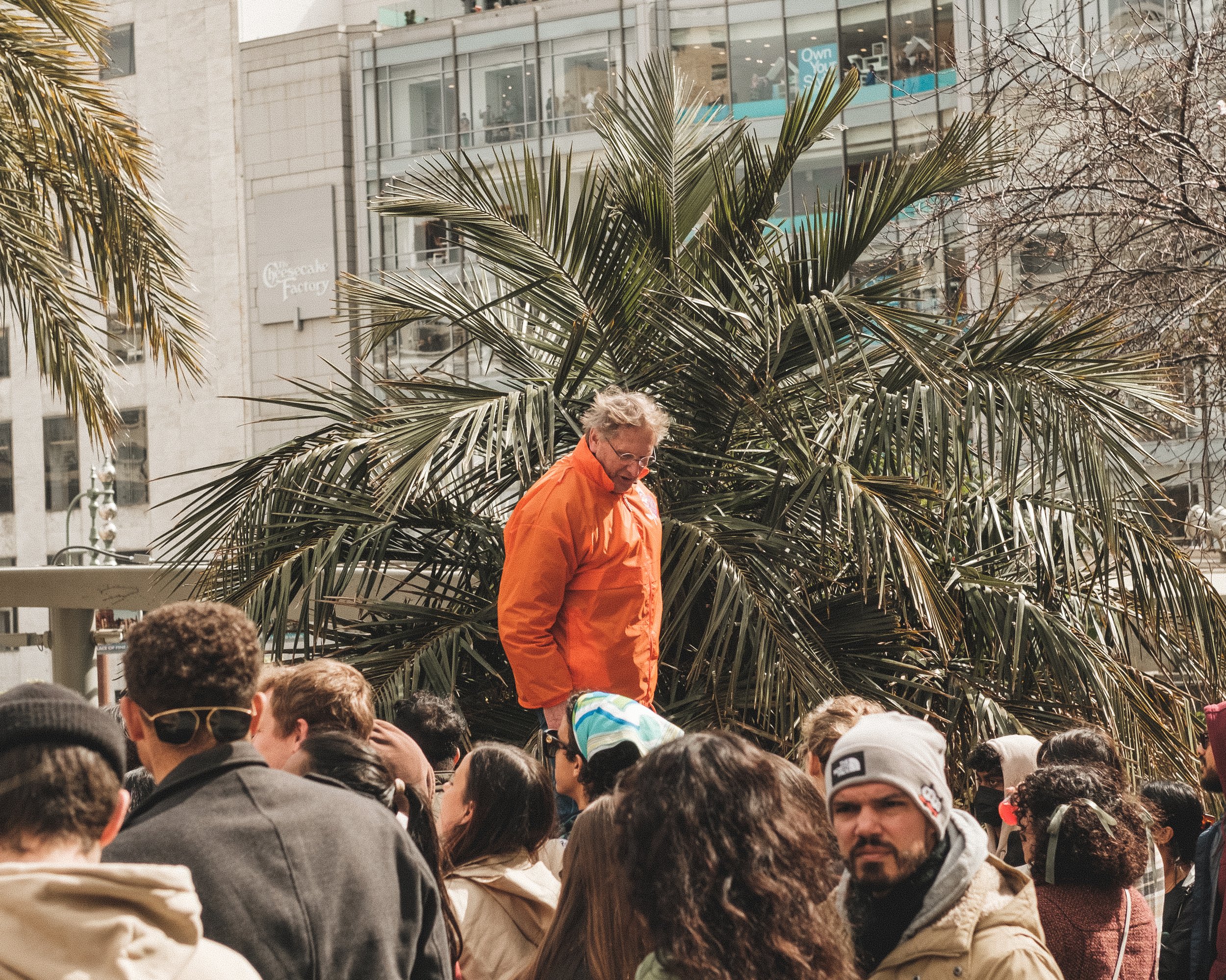A man in an orange jacket standing above a crowd of people outdoors, with a large palm tree and modern buildings in the background.