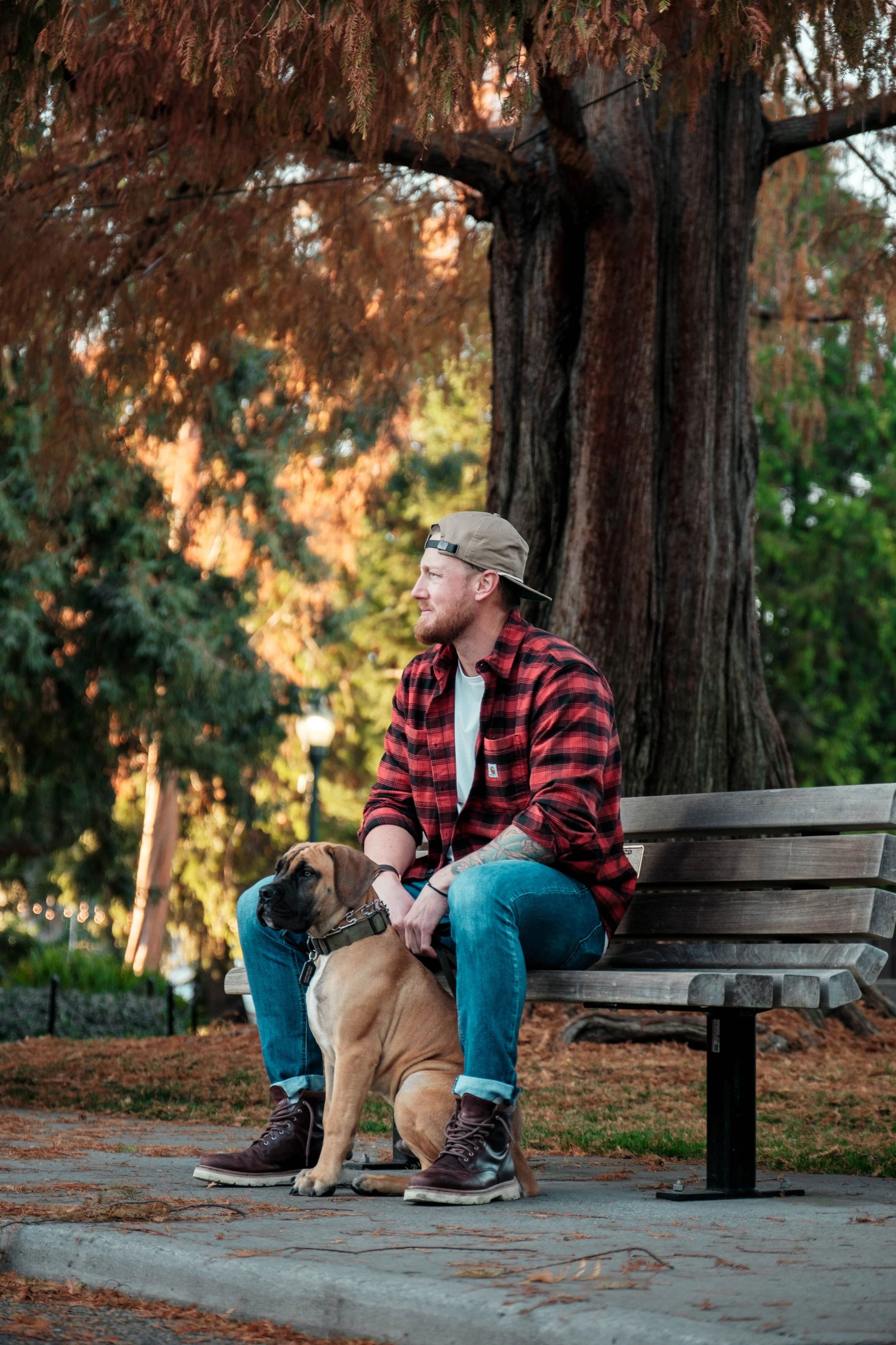 A man sitting on a park bench with a large brown and black dog. There are trees and autumn leaves in the background.