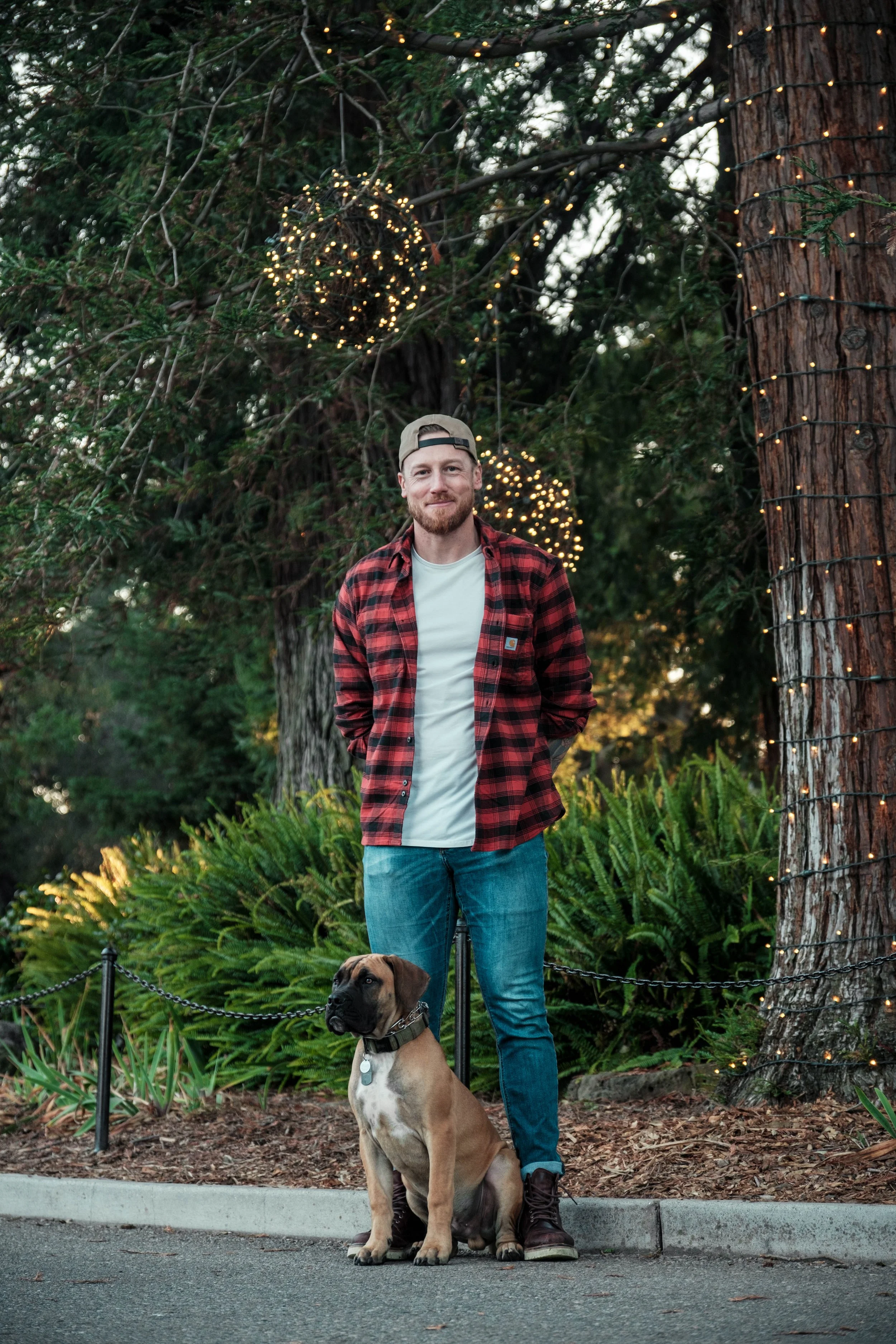 A man with a beard wearing a backward baseball cap, white T-shirt, red and black plaid shirt, and jeans, stands on a sidewalk with his dog sitting beside him. The background features large trees with string lights and decorative orbs, creating a fest