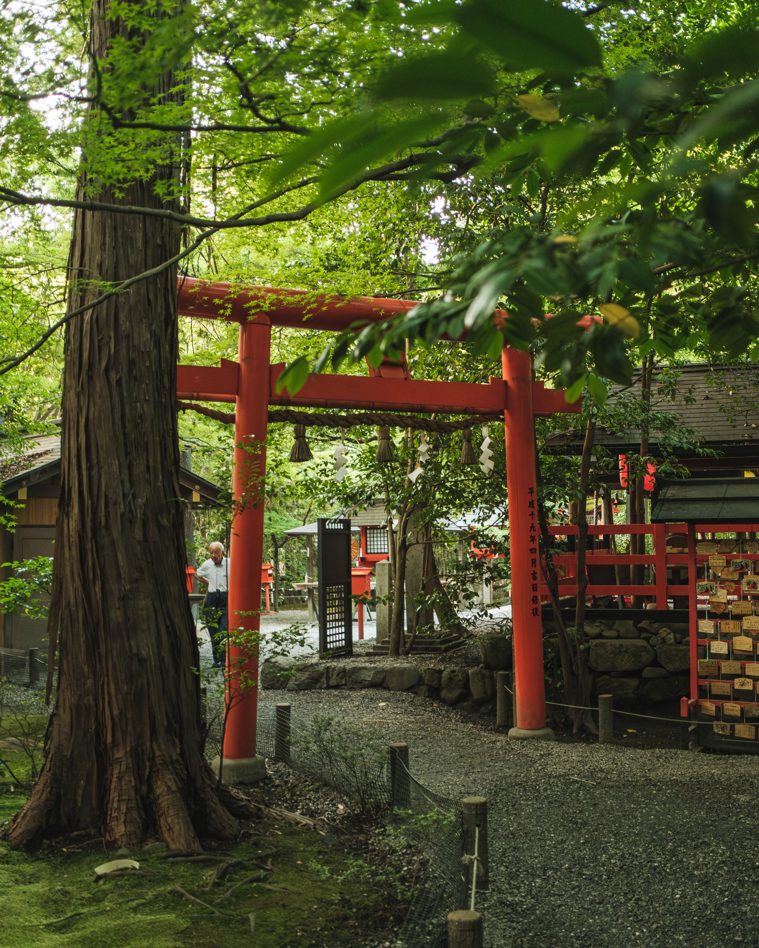 A red torii gate at a Japanese shrine surrounded by lush green trees and foliage. A person is visible in the background near the shrine.