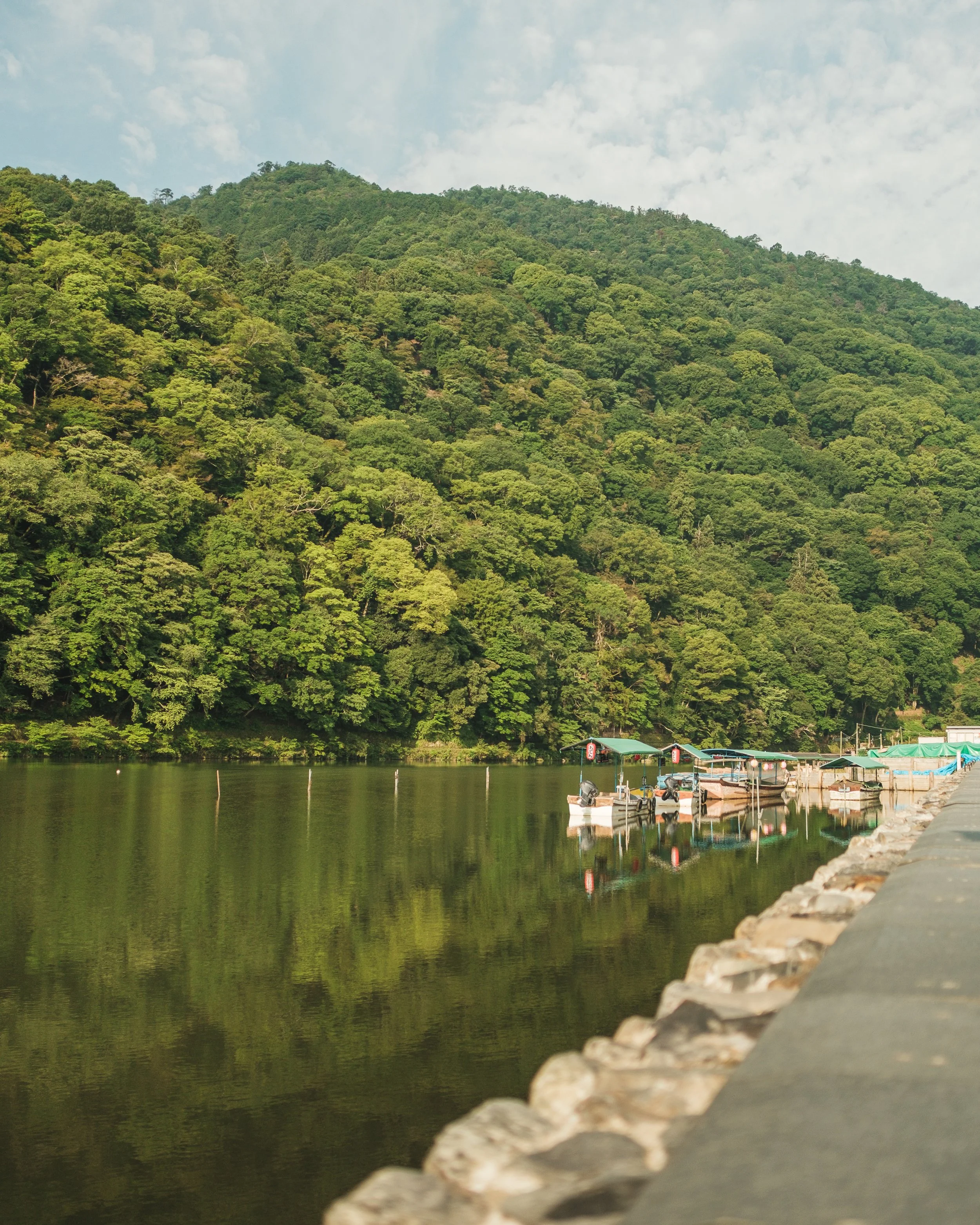 Boats docked along a riverbank with a lush green hillside in the background and a partly cloudy sky.