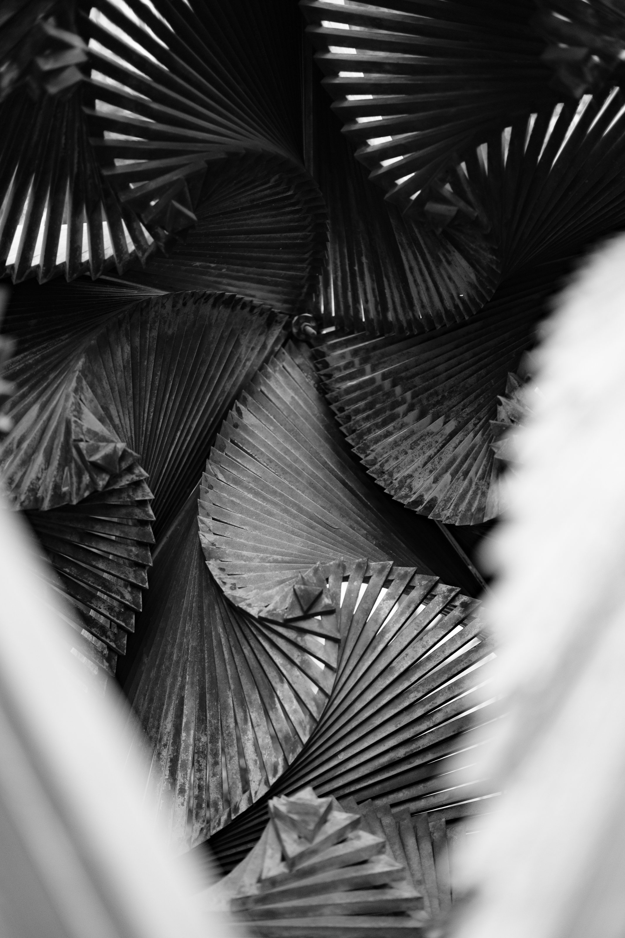 Black and white photo of large, intricately folded paper or fabric fans arranged in a pattern.
