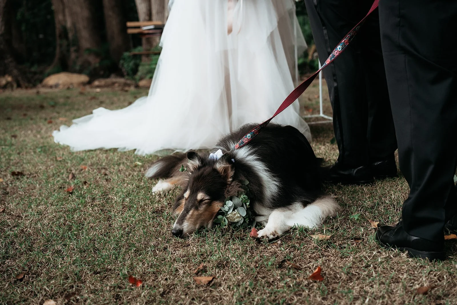 S&JWED-331.jpg
