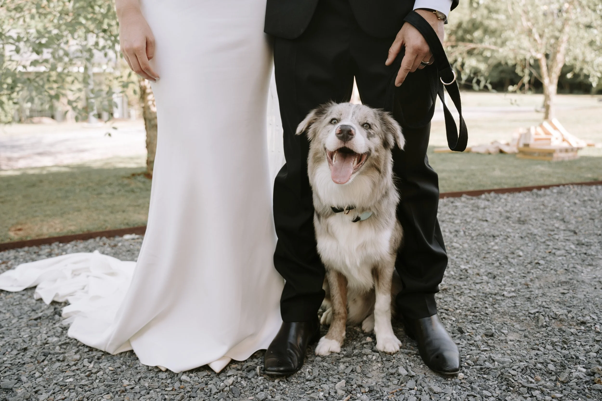 Wynmère Estate is proudly dog / pet friendly   🐾