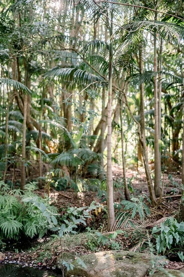 Wynmère Estate's Rainforest Wedding