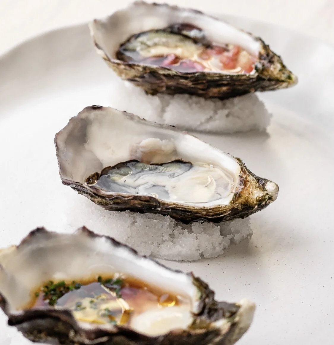 Oysters (2).jpeg