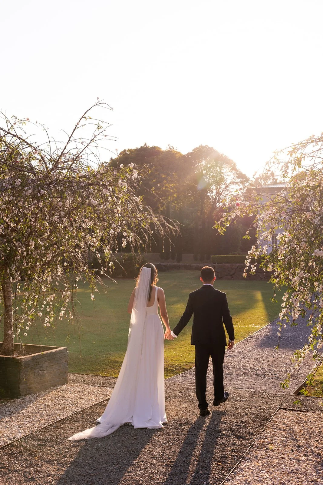 Abbey + Anthony-10532.jpg