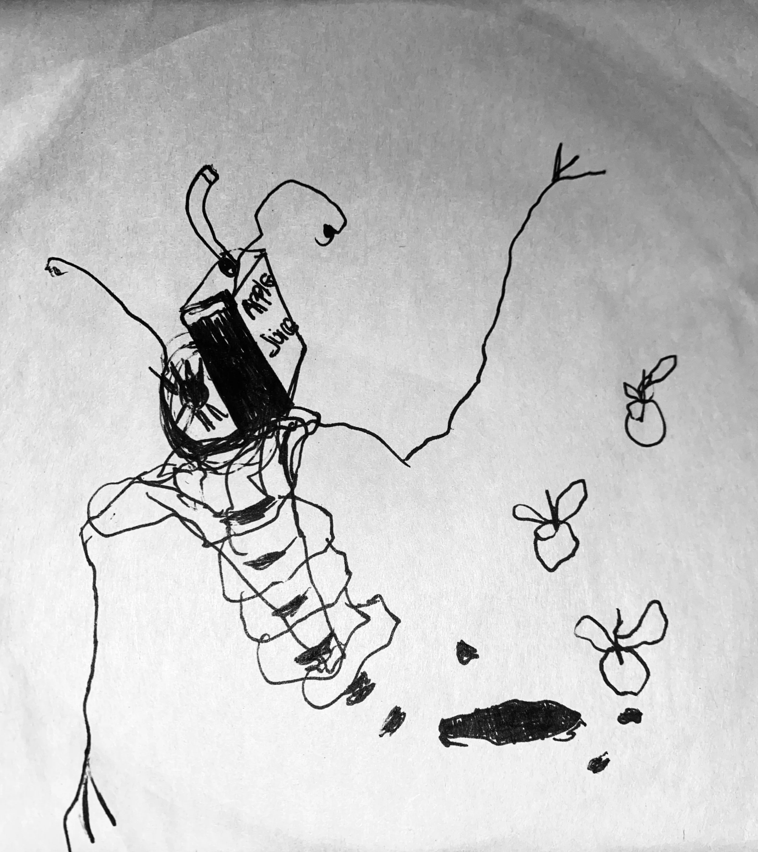 original 2023-12-17 023612.325.JPG