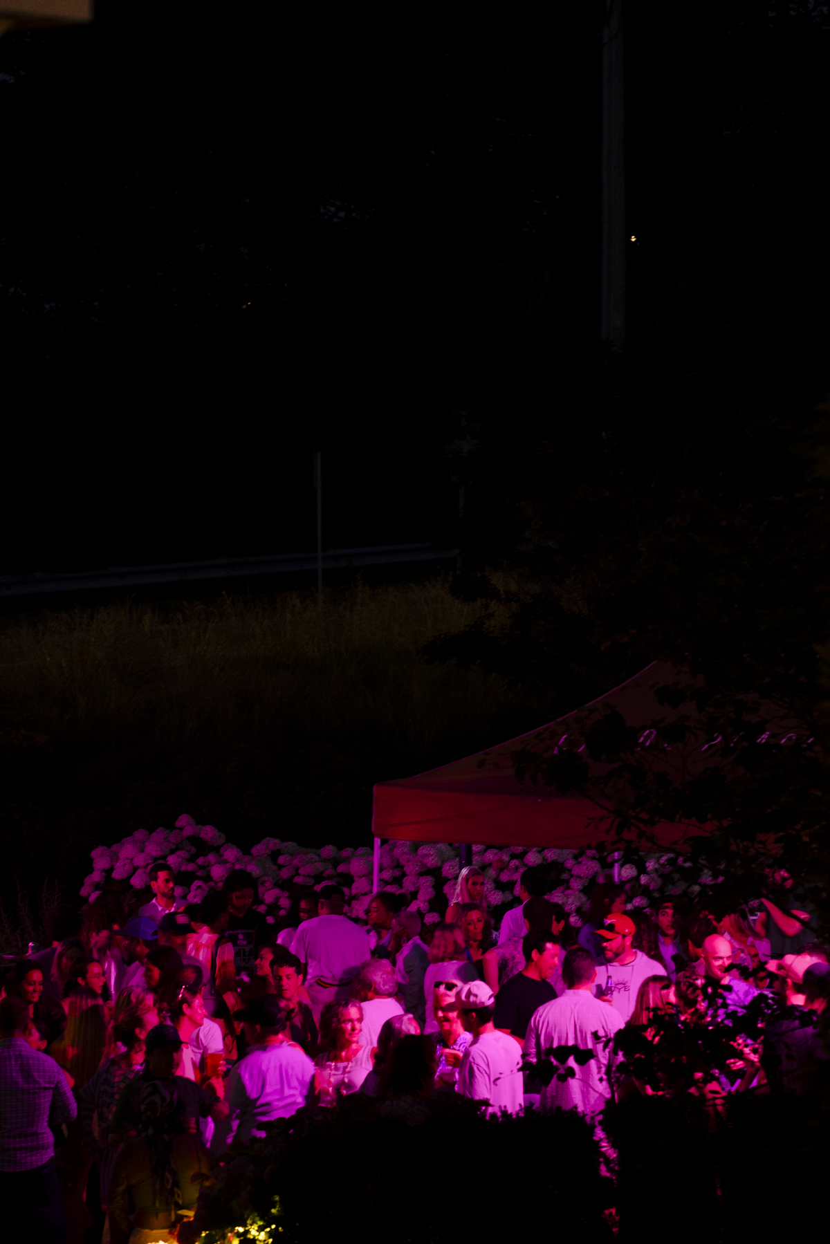 steel pulse_CPI_June 29 20251.PNG