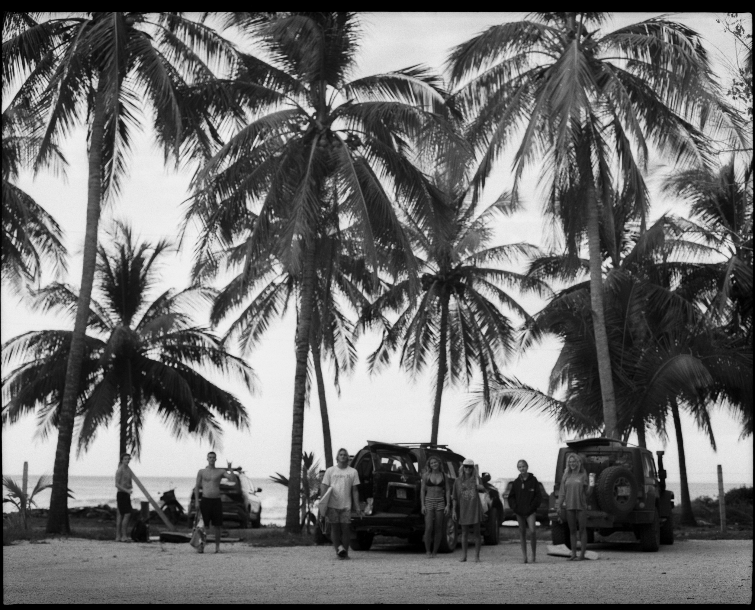 A group of people standing in front of parked off-road vehicles under tall palm trees near a beach.