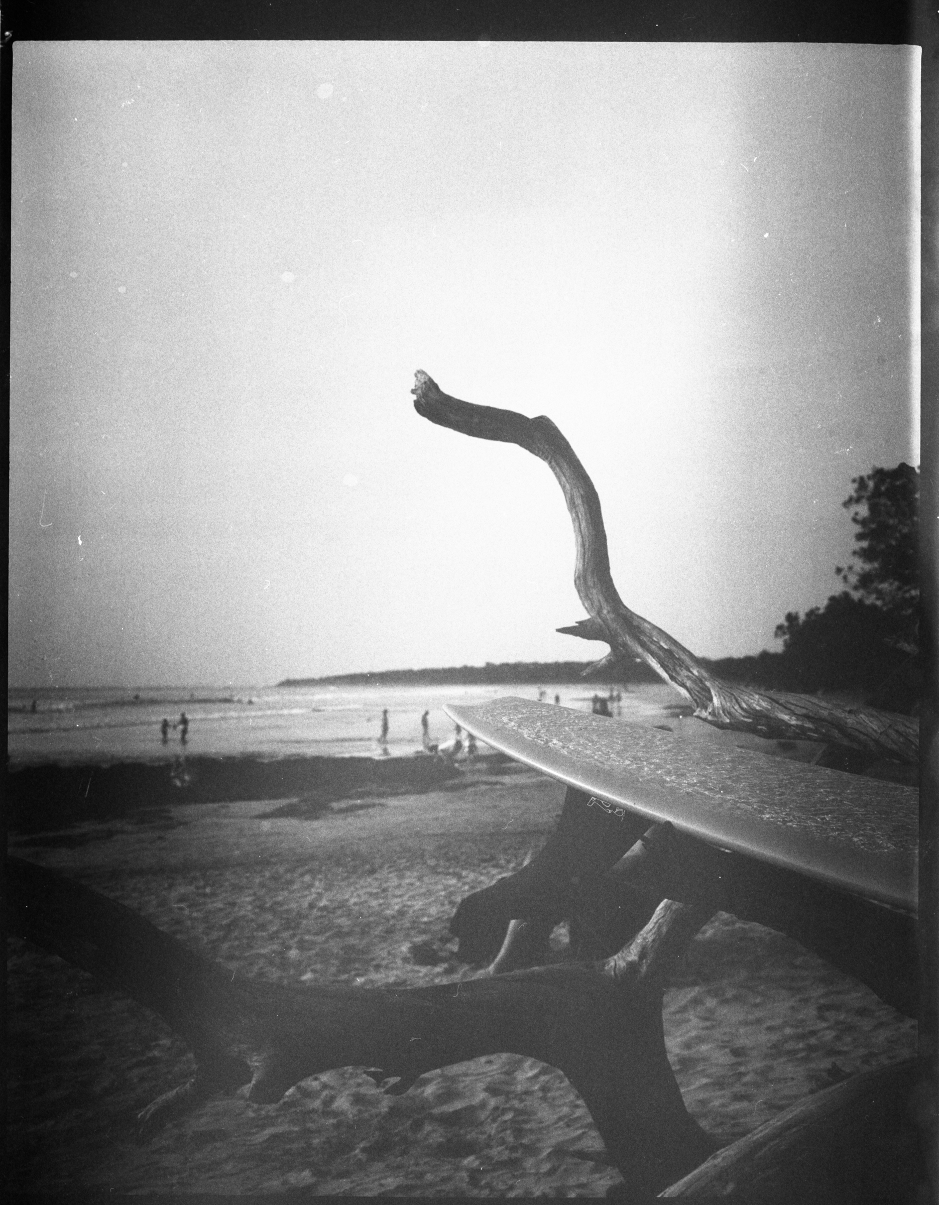 Black and white photo of a beach with people, a large driftwood tree, and a surfboard resting on the driftwood.