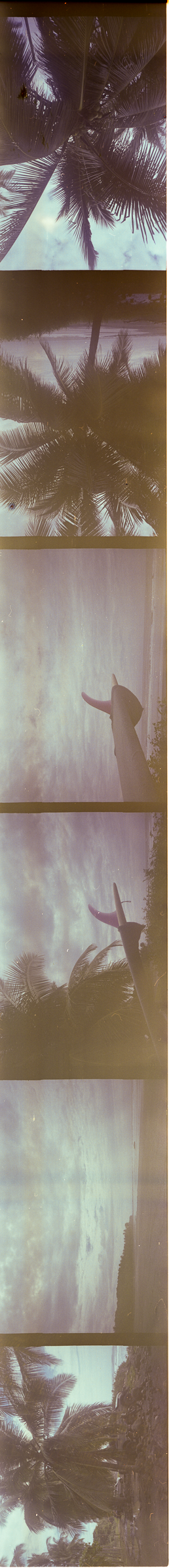 portra 160-lost roll-6.png