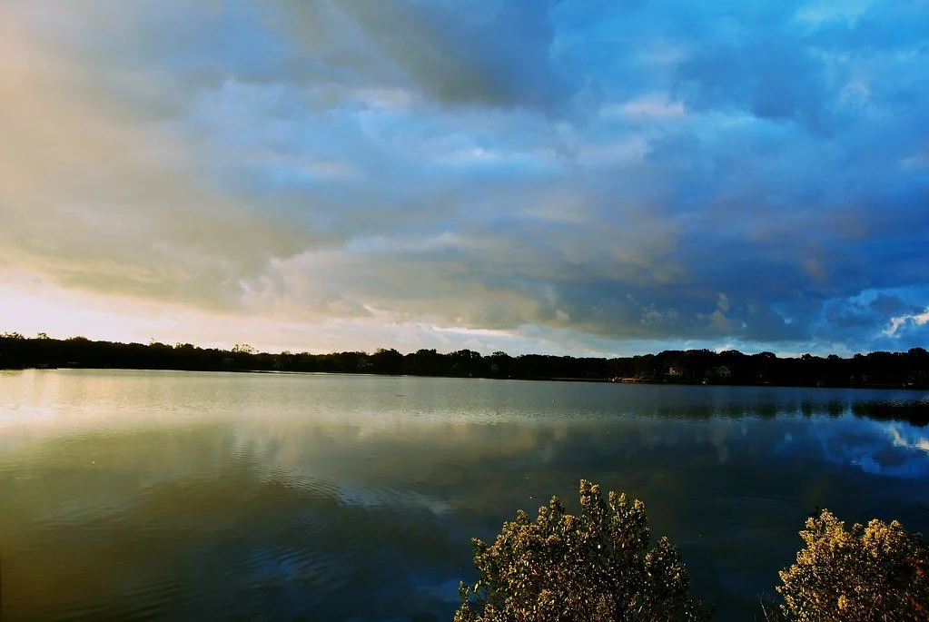 Circa 2010, By Julianna Sava