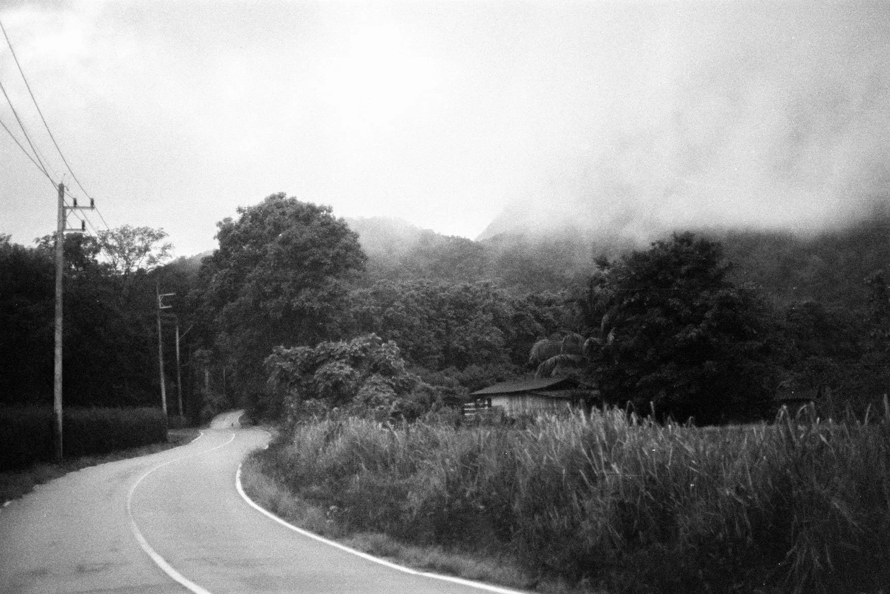 1_0054.jpg.webp
