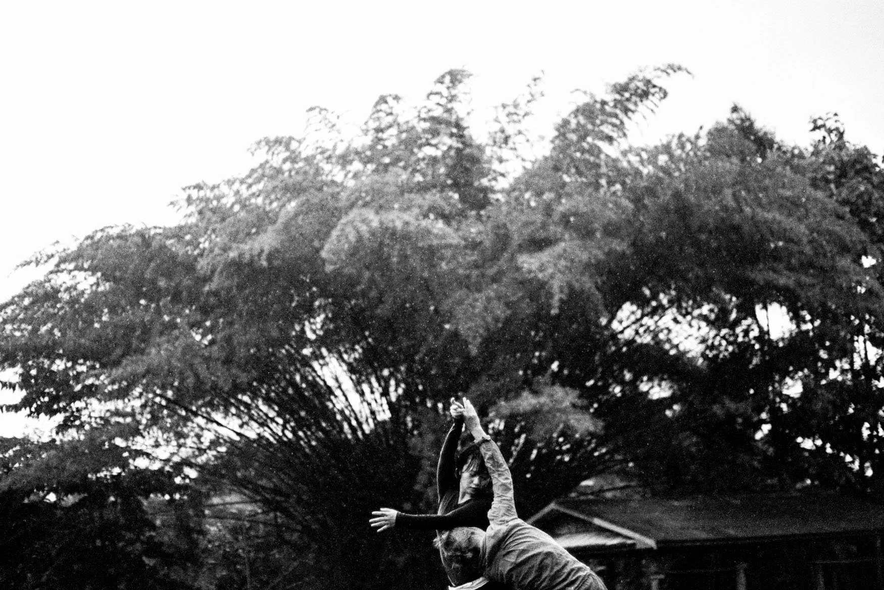 1_0016.jpg.webp
