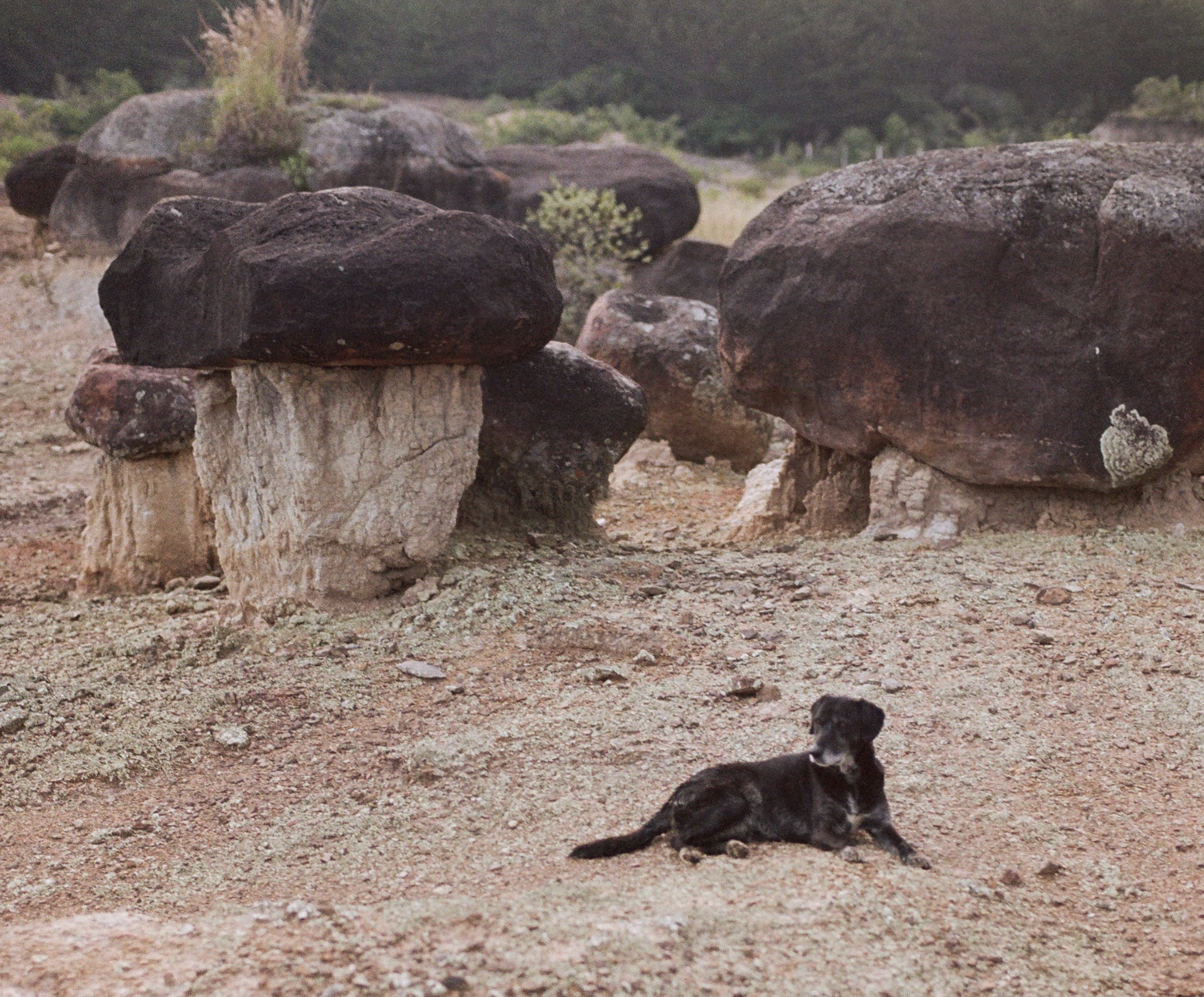 Captura de pantalla 2026-01-14 a la(s) 8.54.44 p. m..png