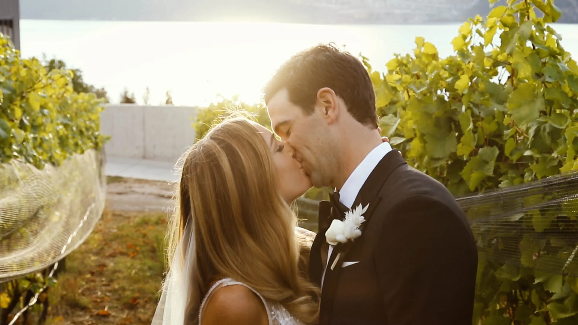 A bride and groom kissing outdoors during sunset, surrounded by green foliage and vines, with sunlight shining behind them.