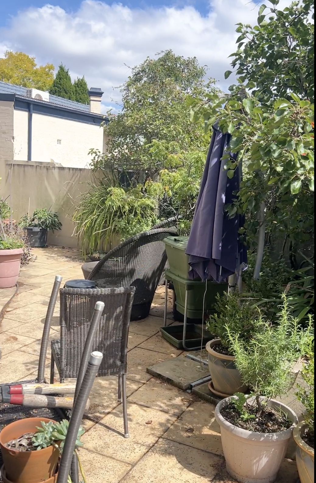 Screenshot 2026-01-20 at 7.02.52 am.png