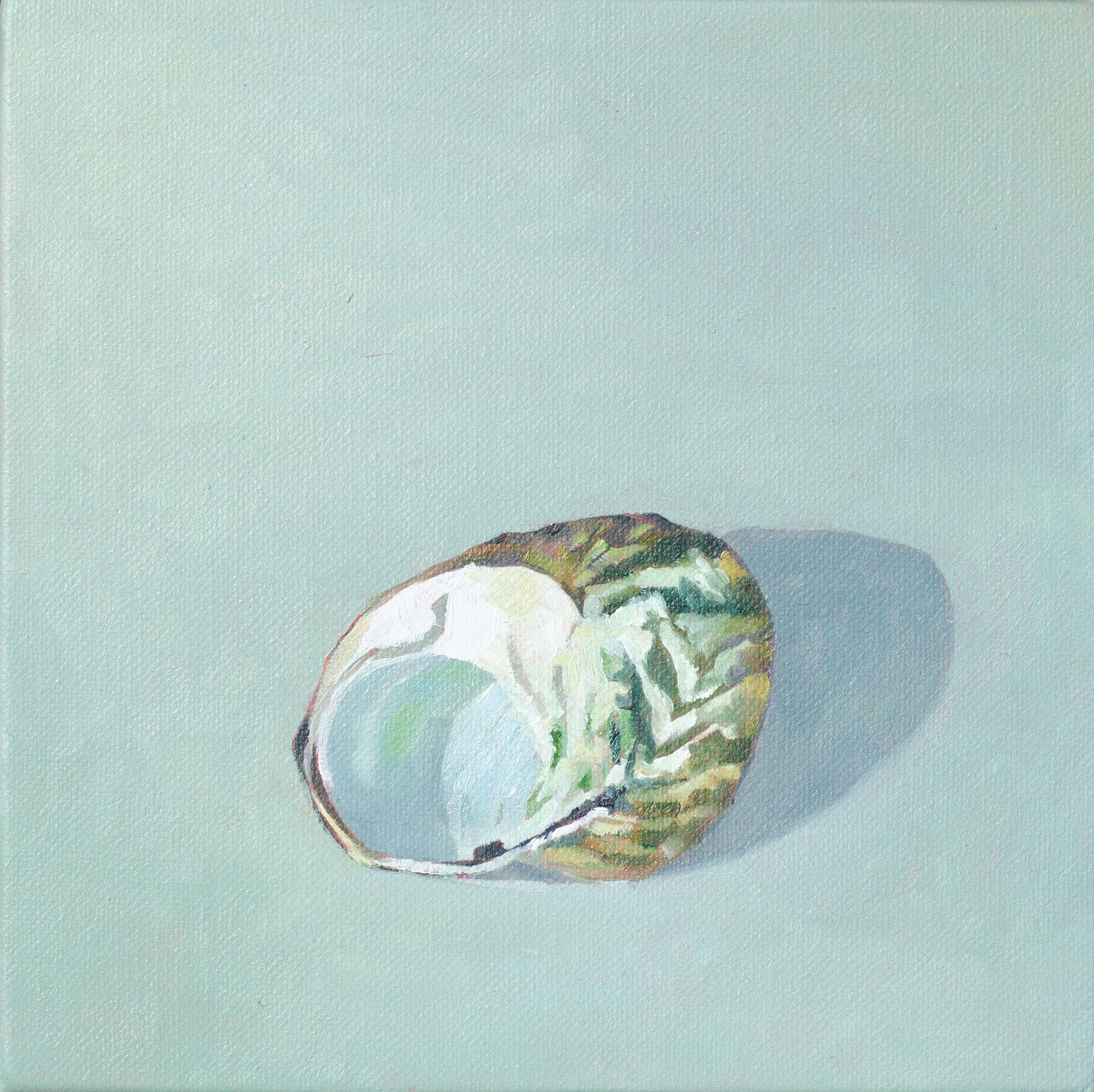 Small Turban Shell, Lydie Paton, Sewers beach, KI 15x15 oil on Linen.jpg