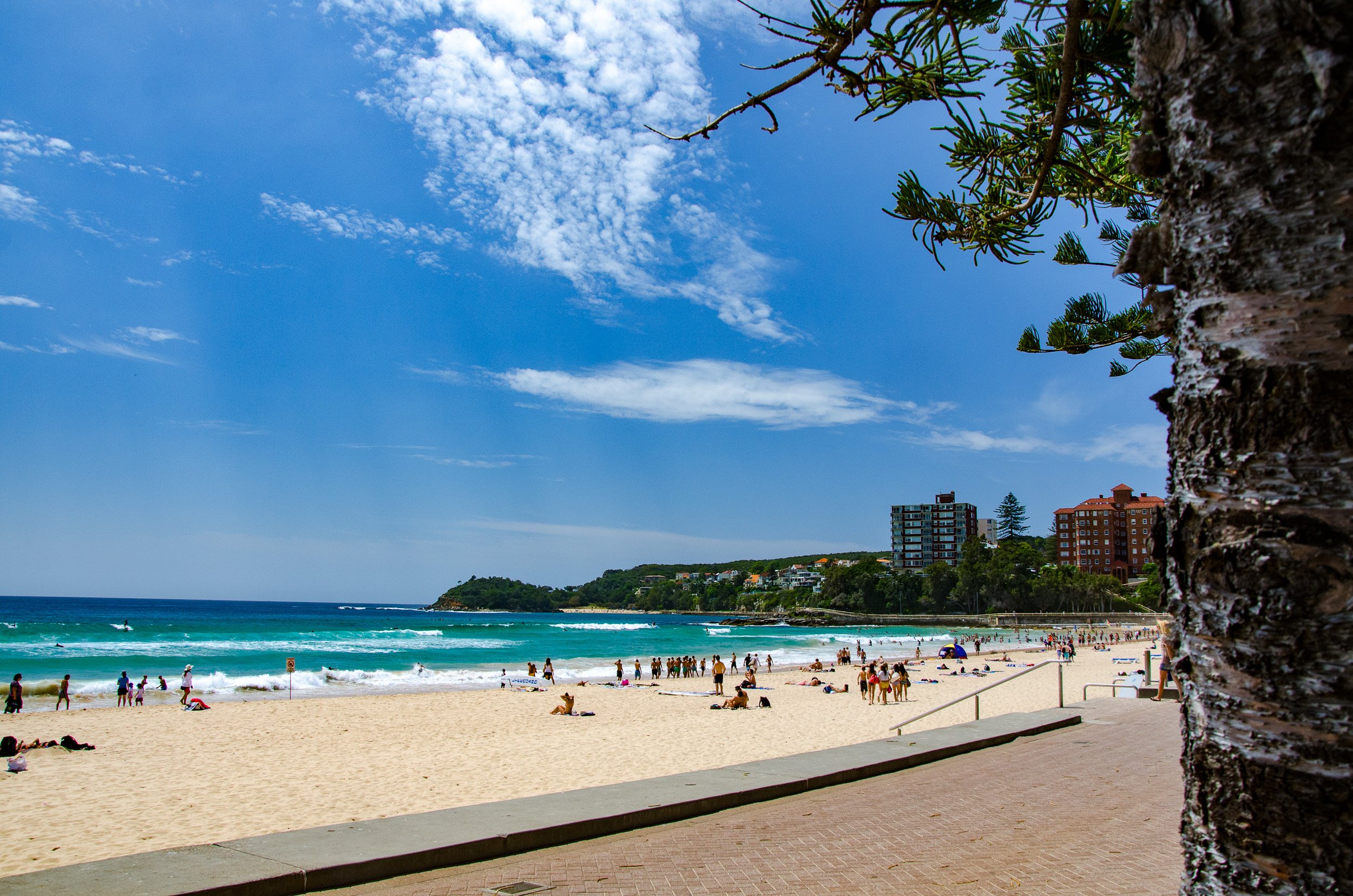 Manly beach