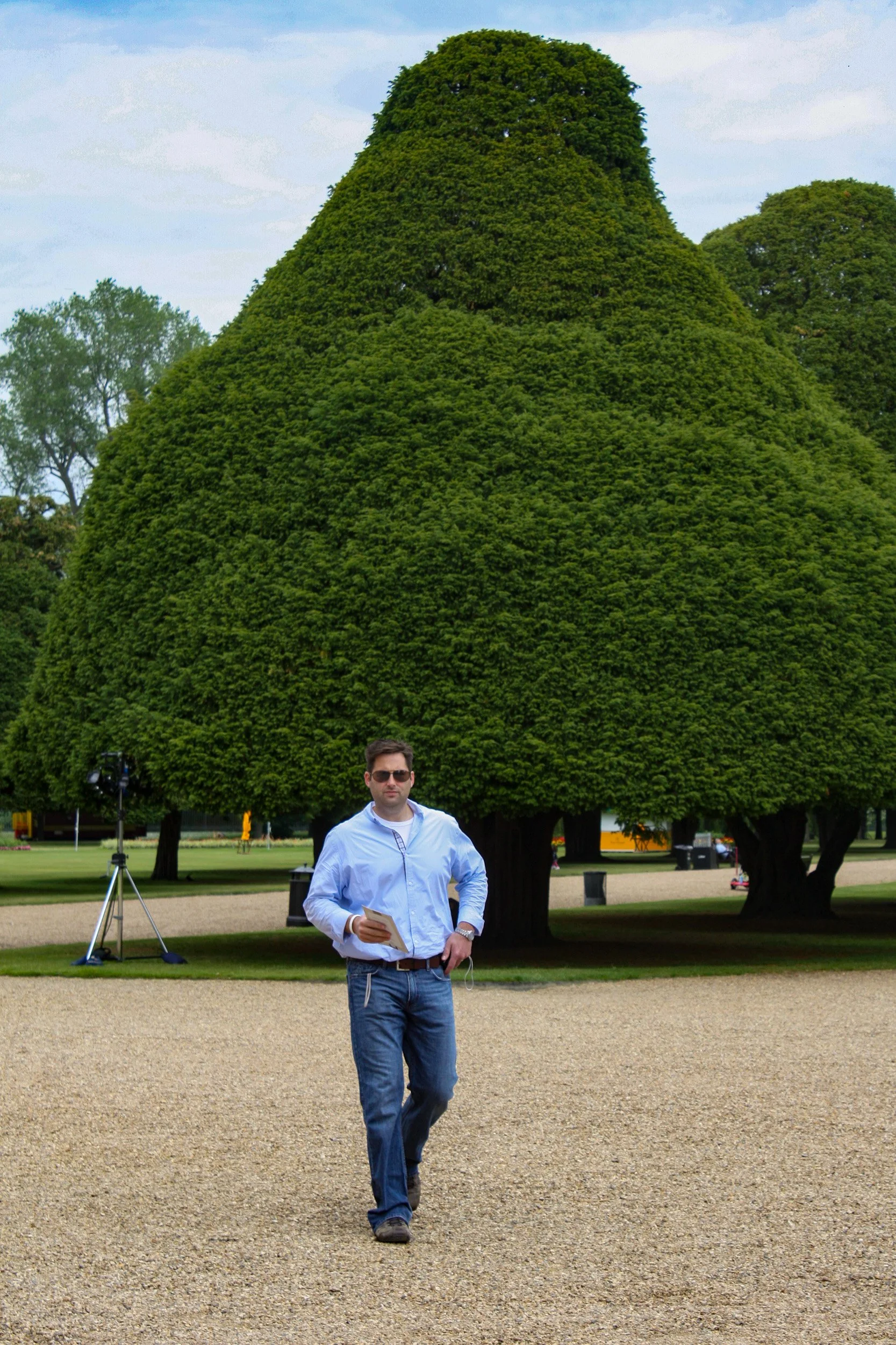 Hampton Court greenery