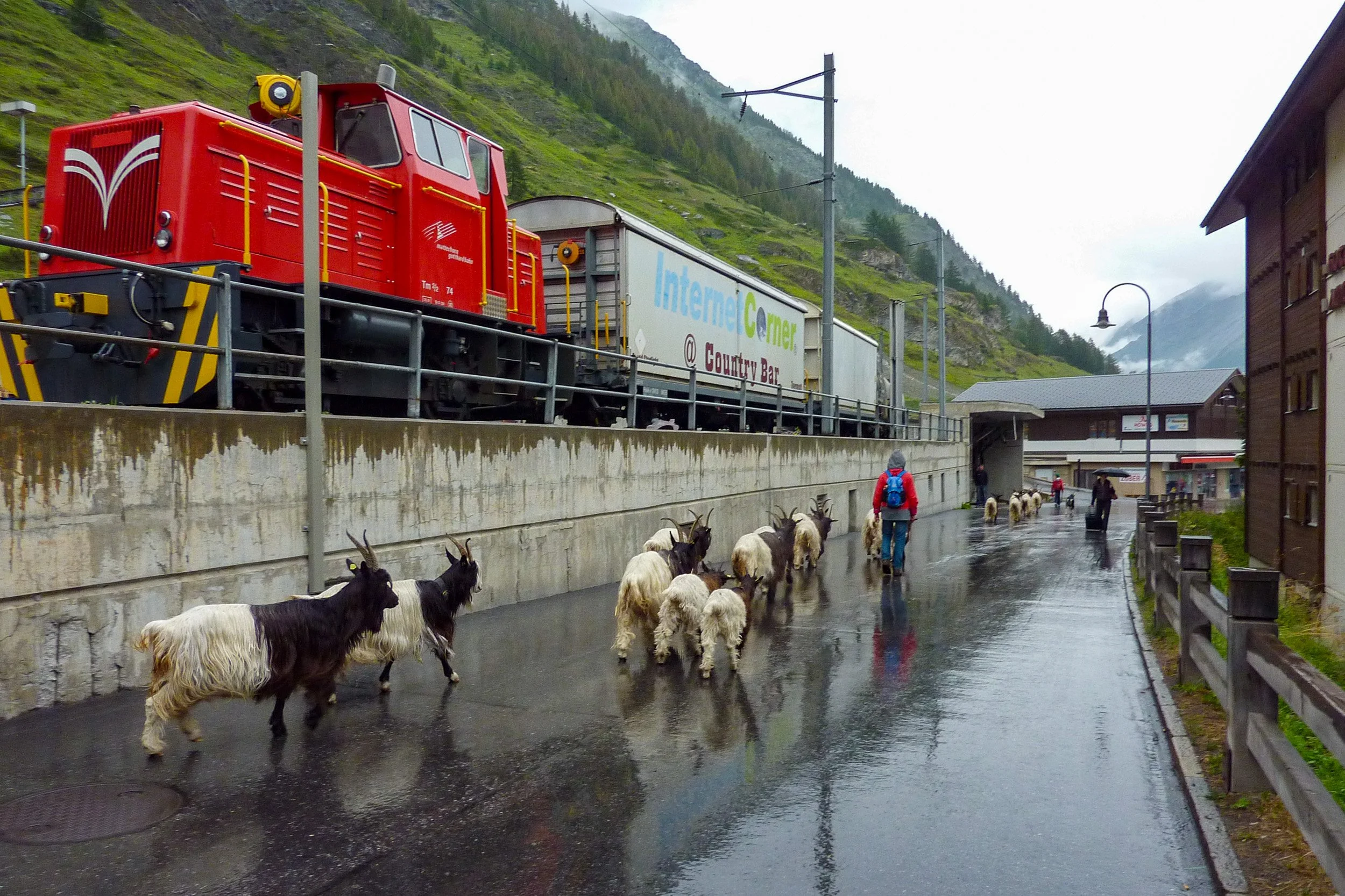 Leaving Zermatt and the goats