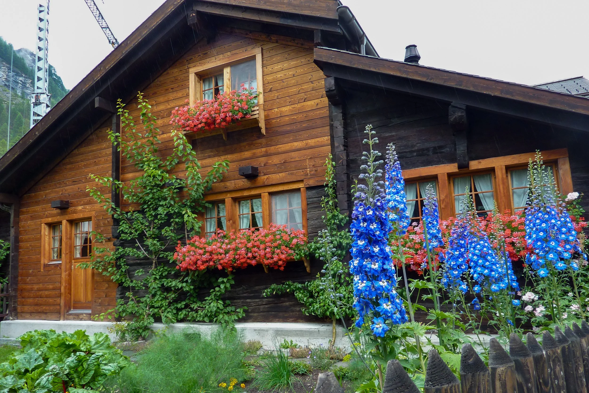 Zermatt flower boxes