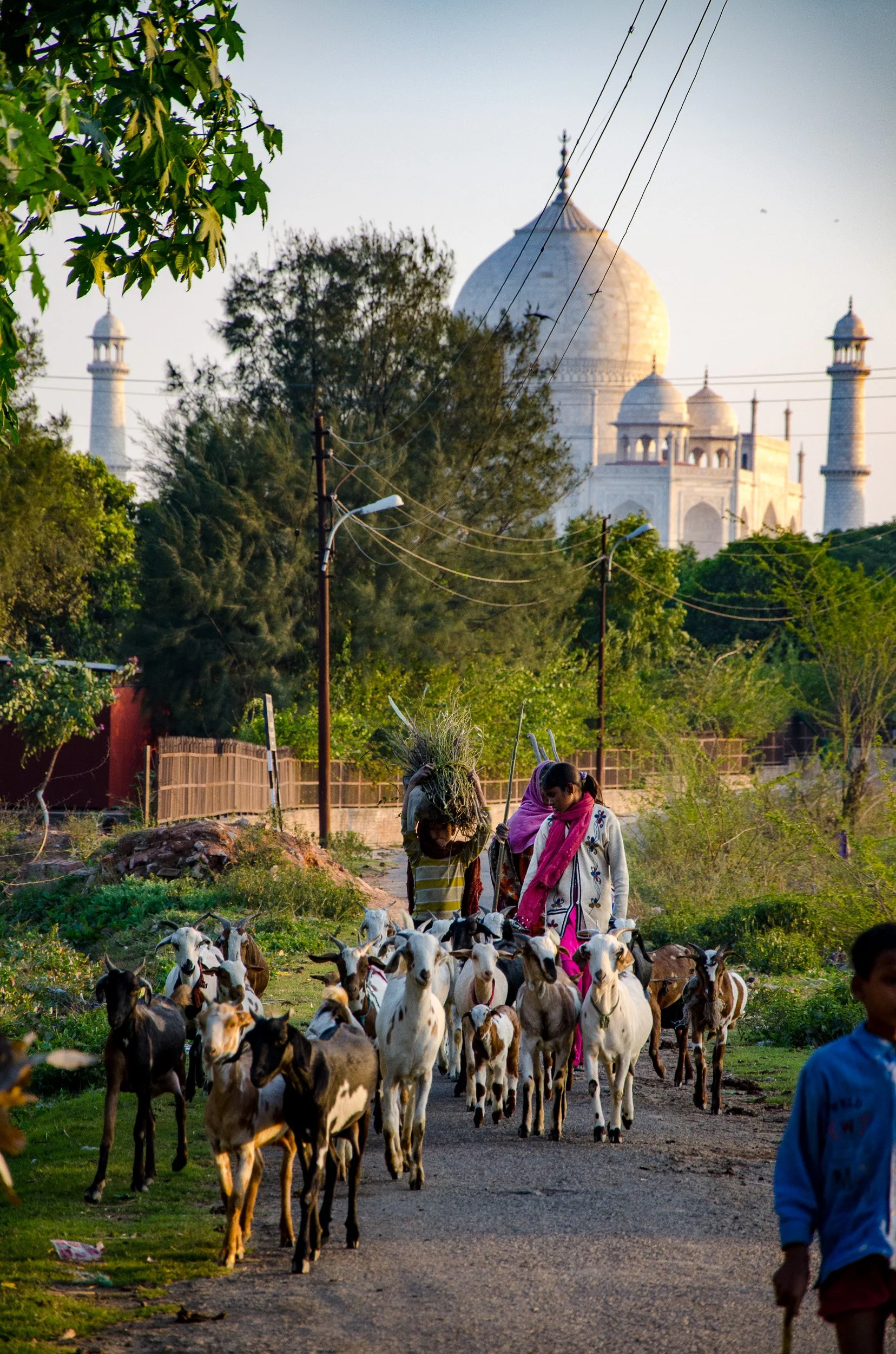 Traffic jam getting to the river
