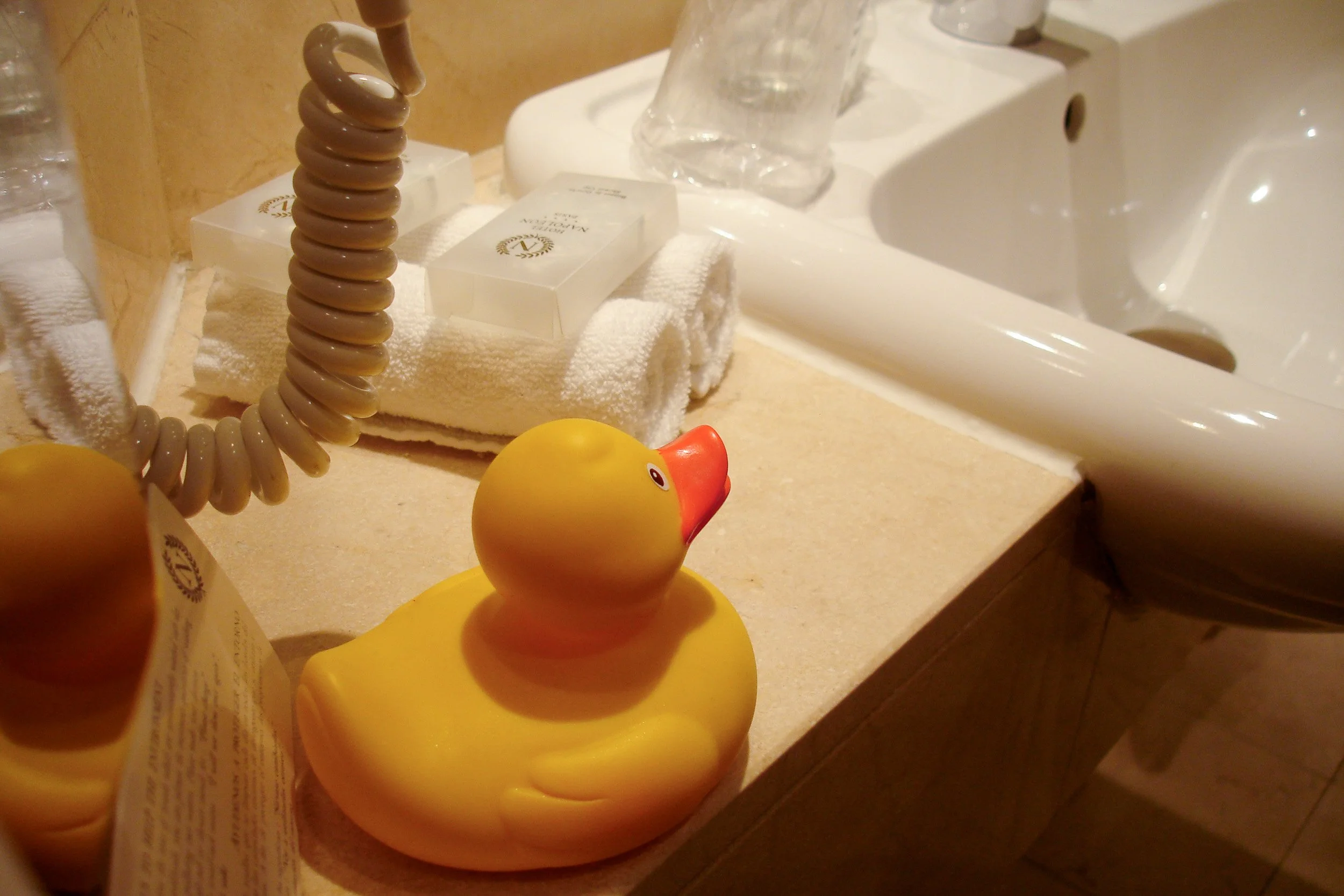 Bath toy in Paris