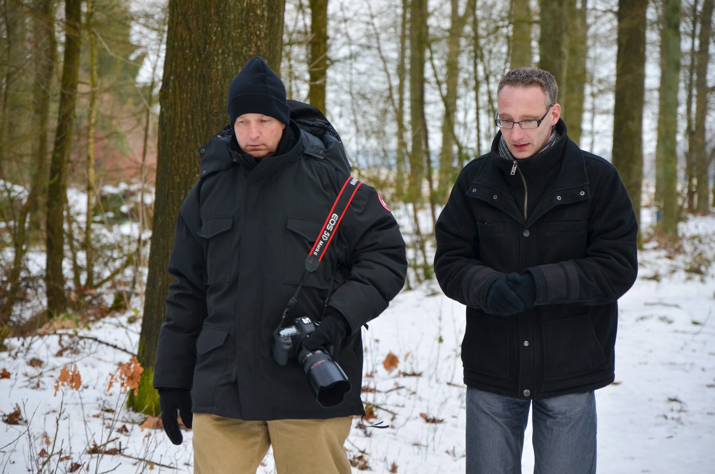 A walk in the Dutch woods