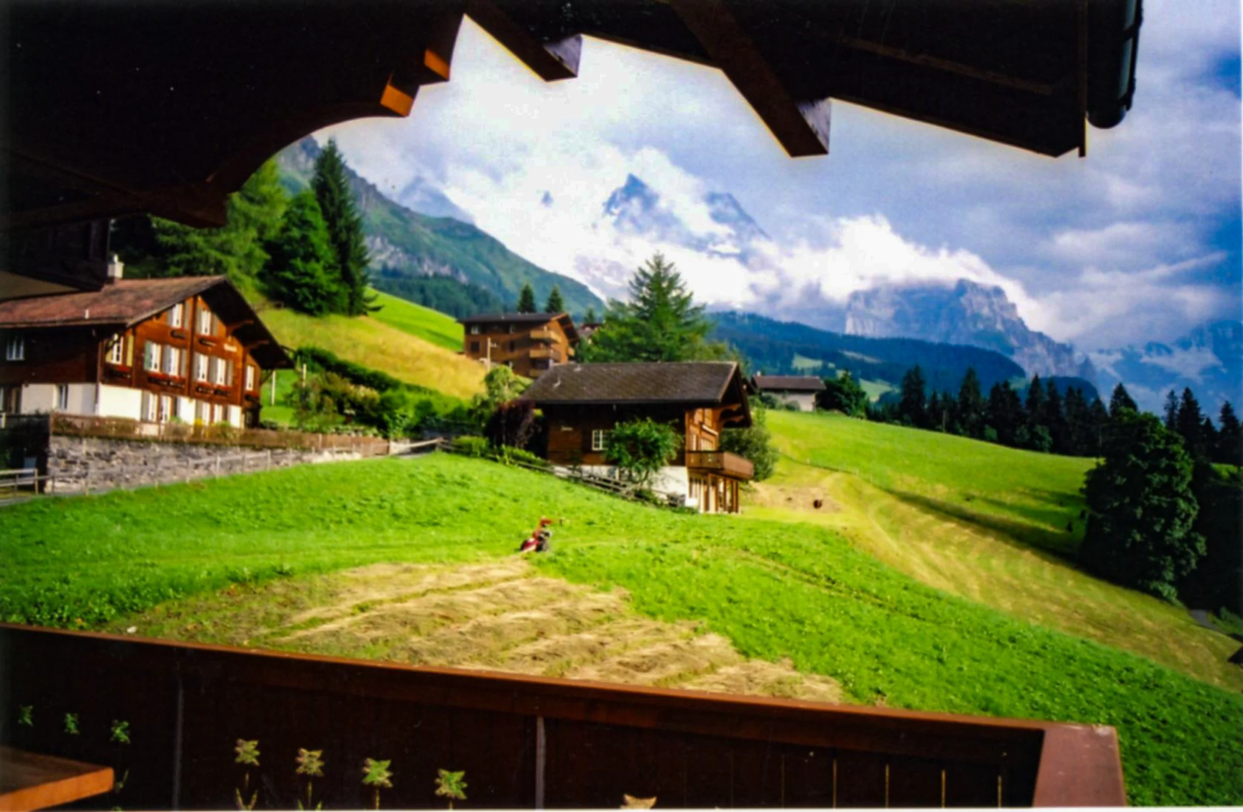Swiss view