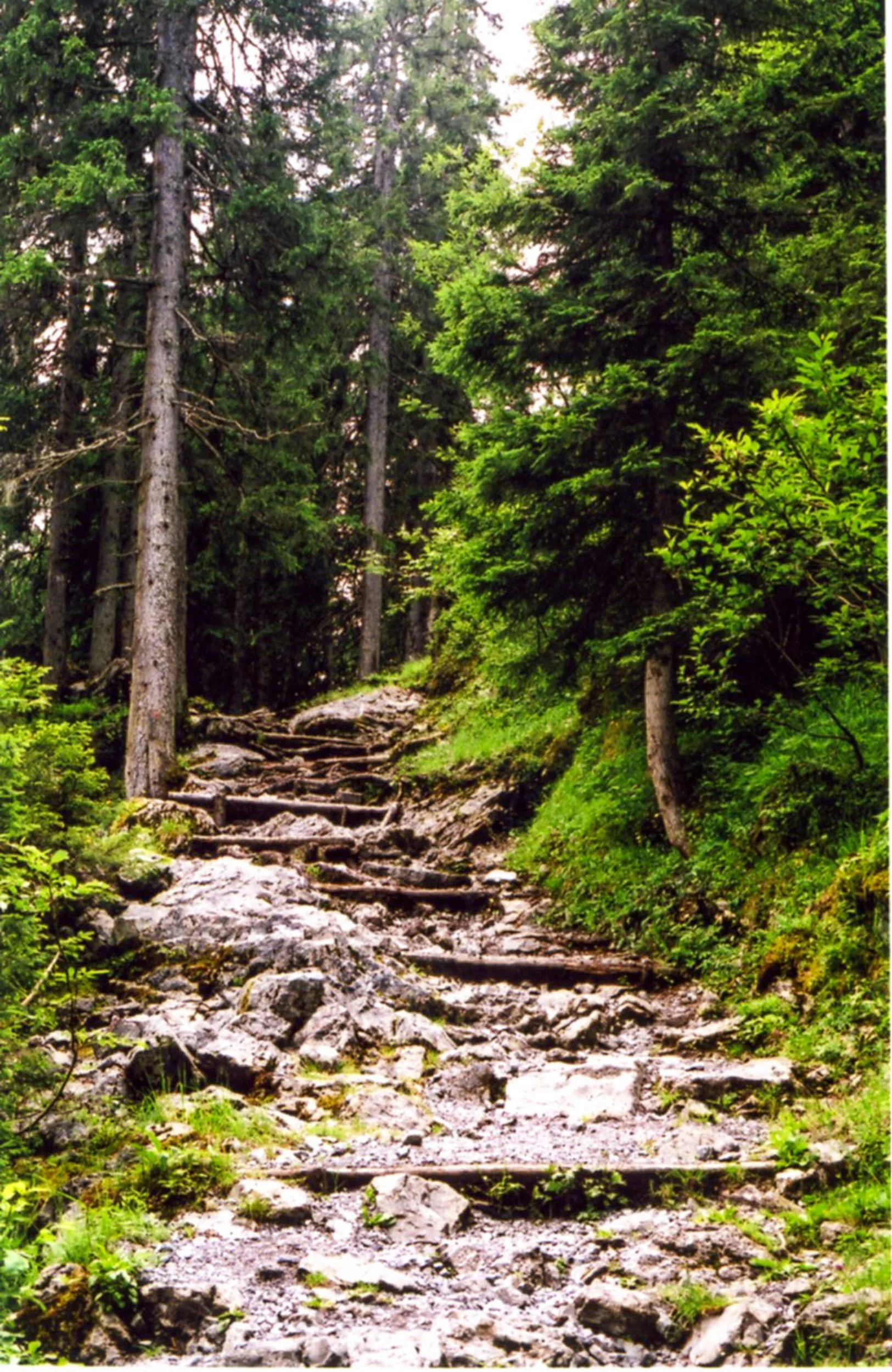 The path to the Lobhorn