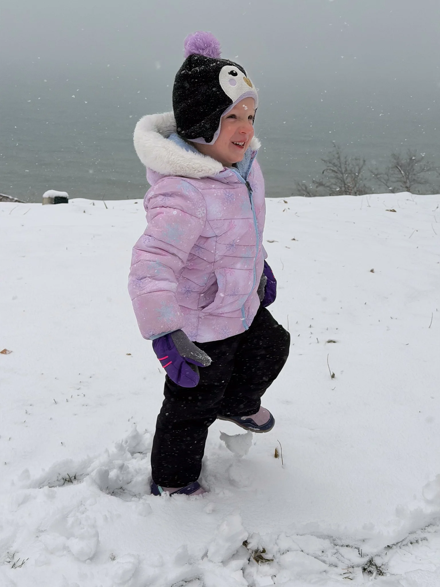 Stomping in the Thanksgiving snow storm
