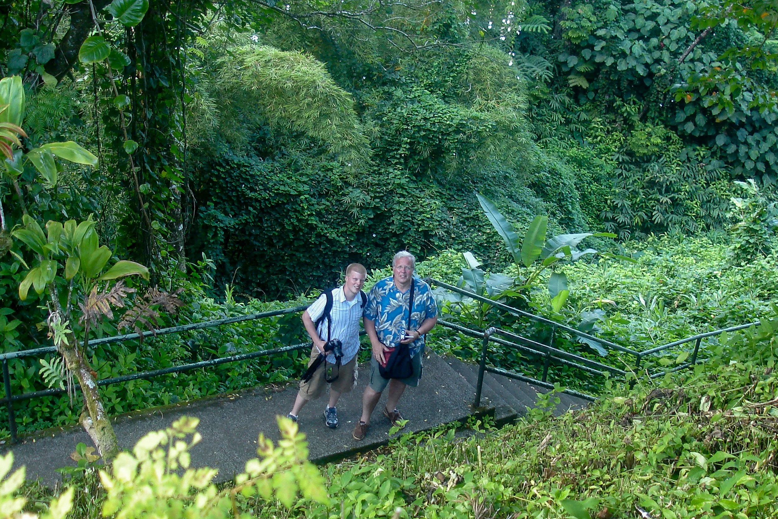 Kona Coast Greenery.jpg