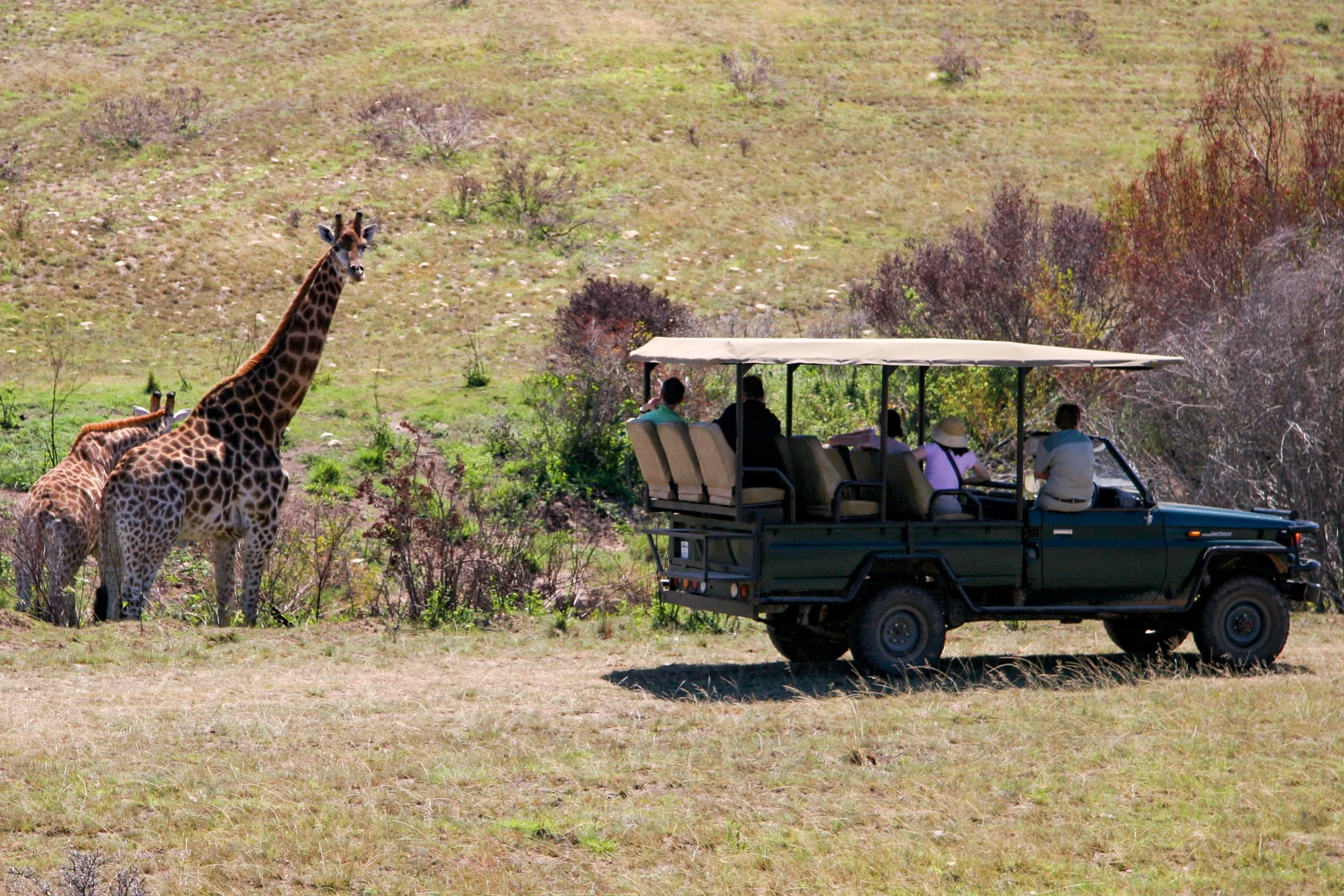 Getting an up-close look