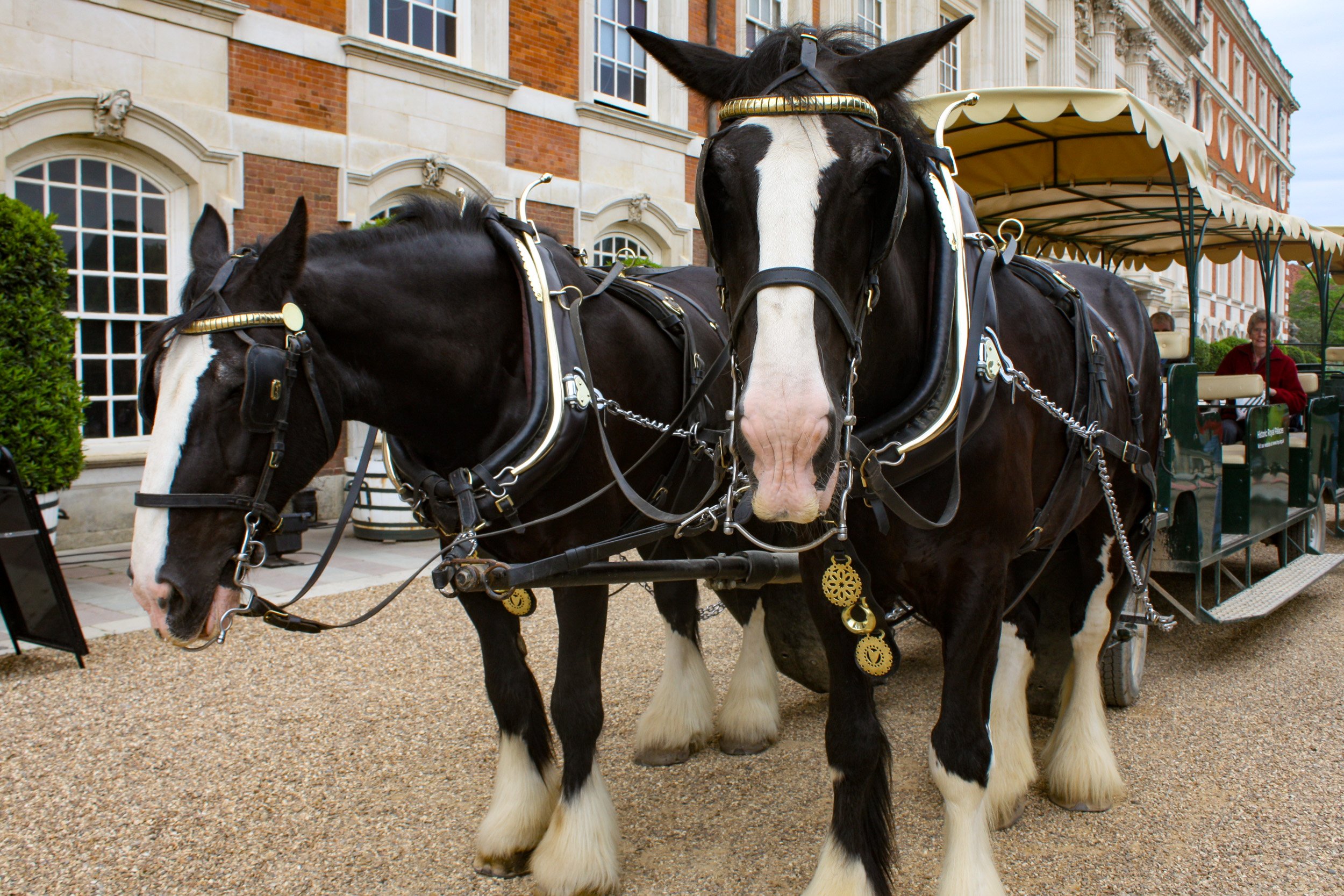 Hampton Court propulsion