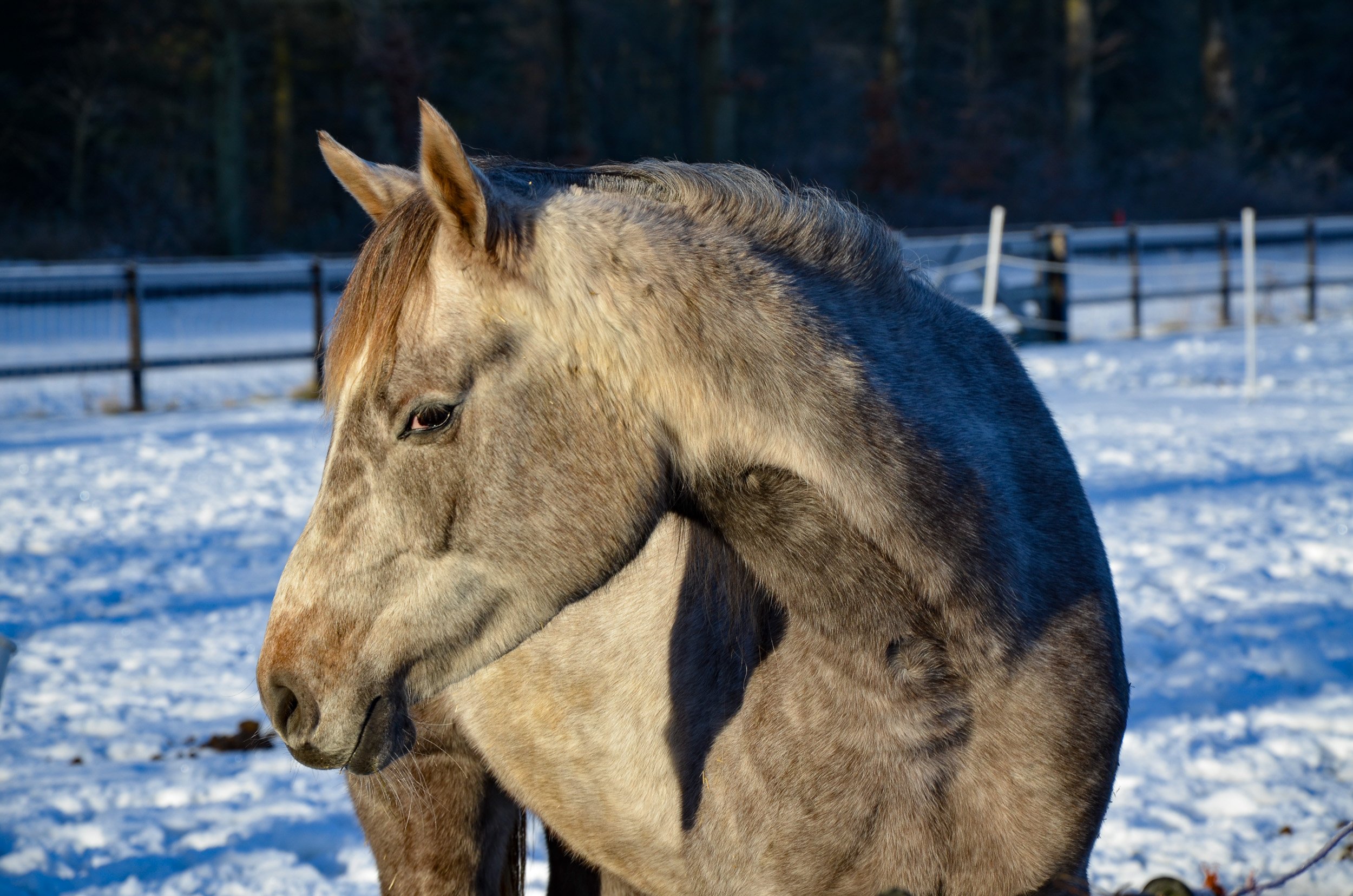 Welcome to The Netherlands