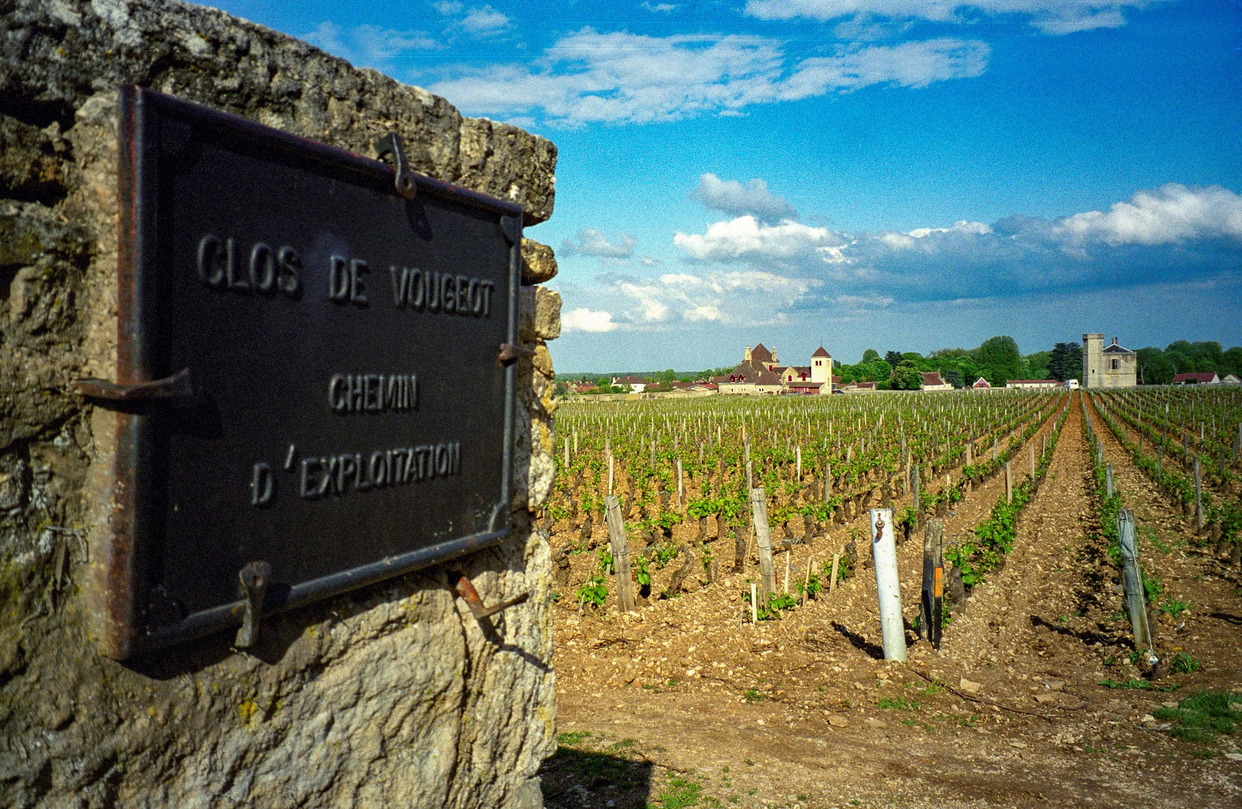 Clos de Vougeot