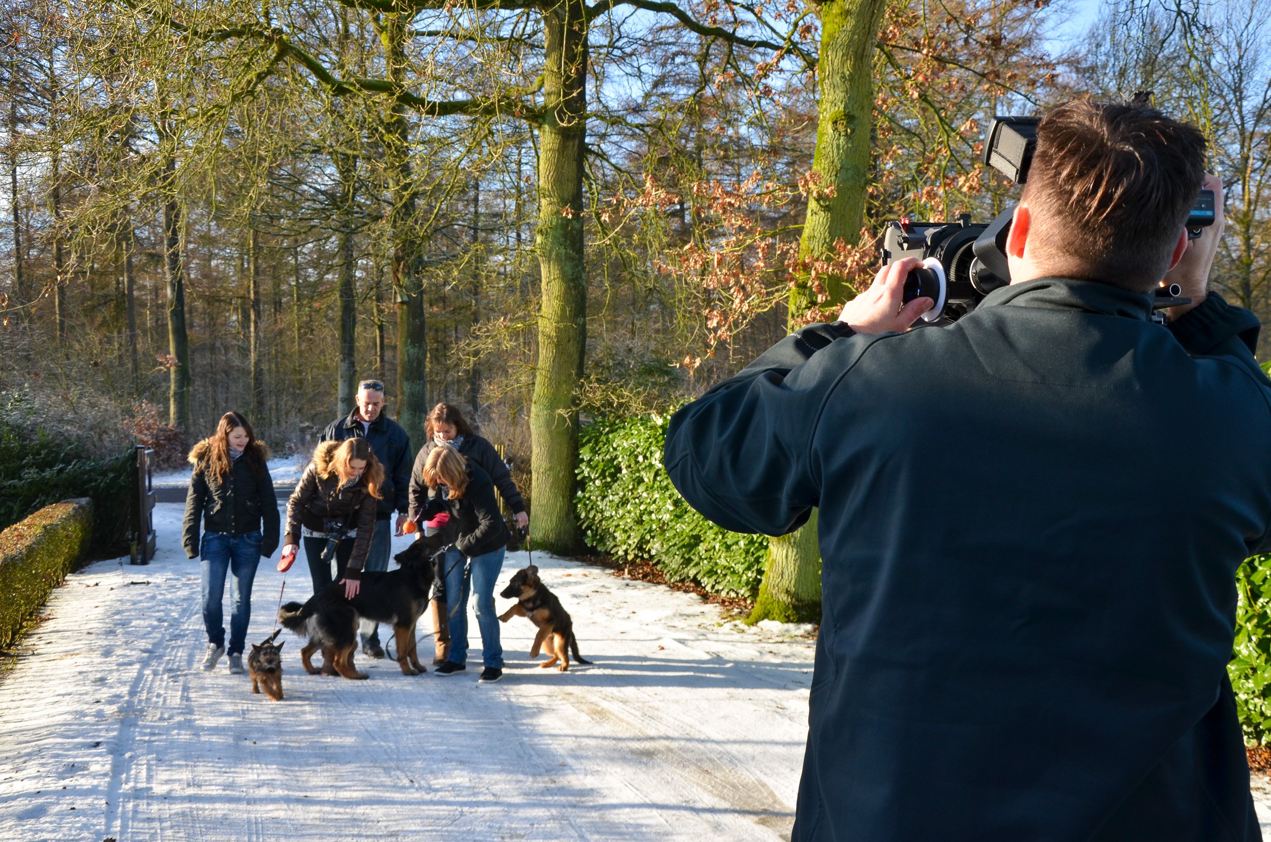 The family takes a walk through the woods.