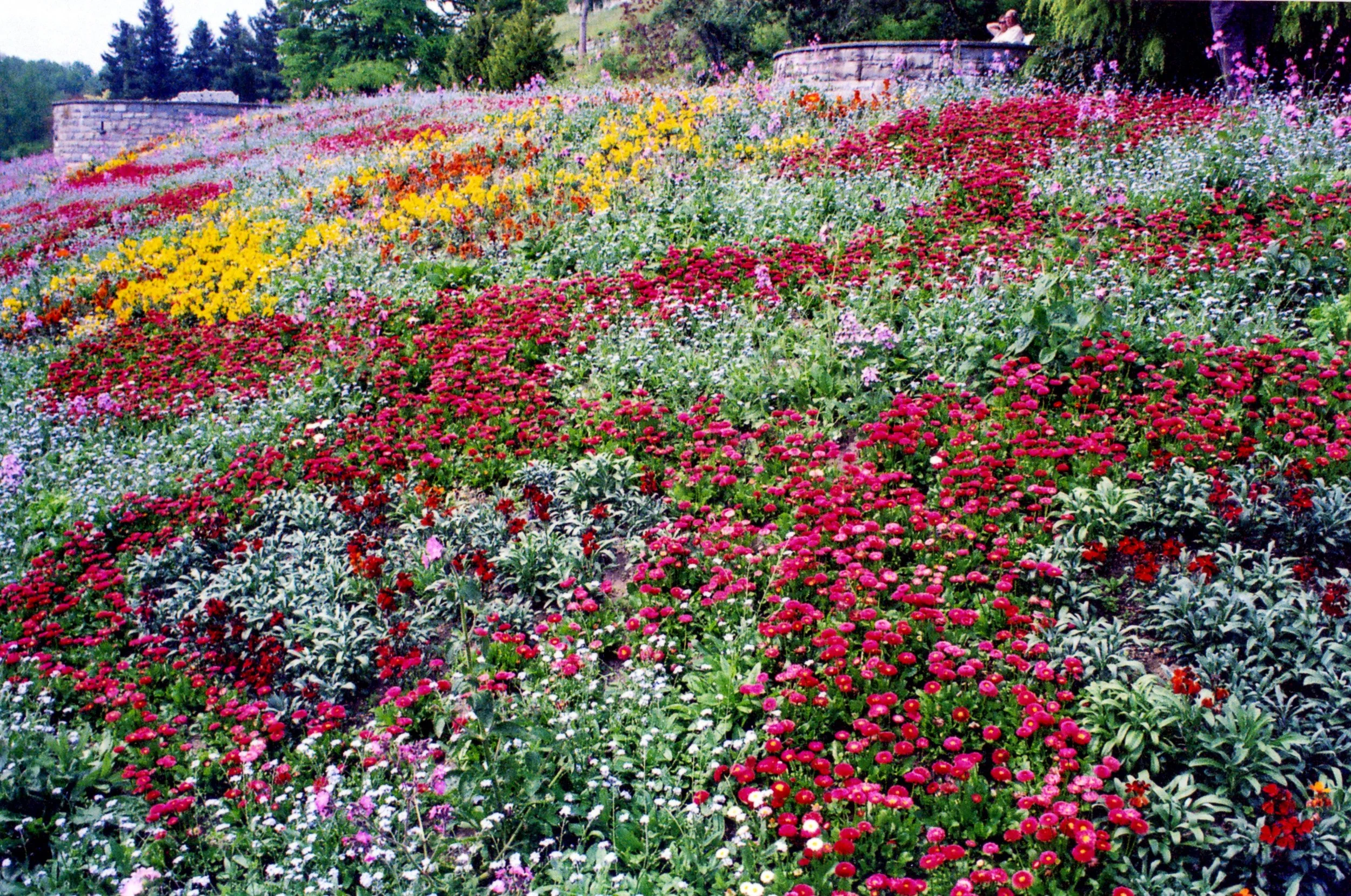Flower garden on Minau
