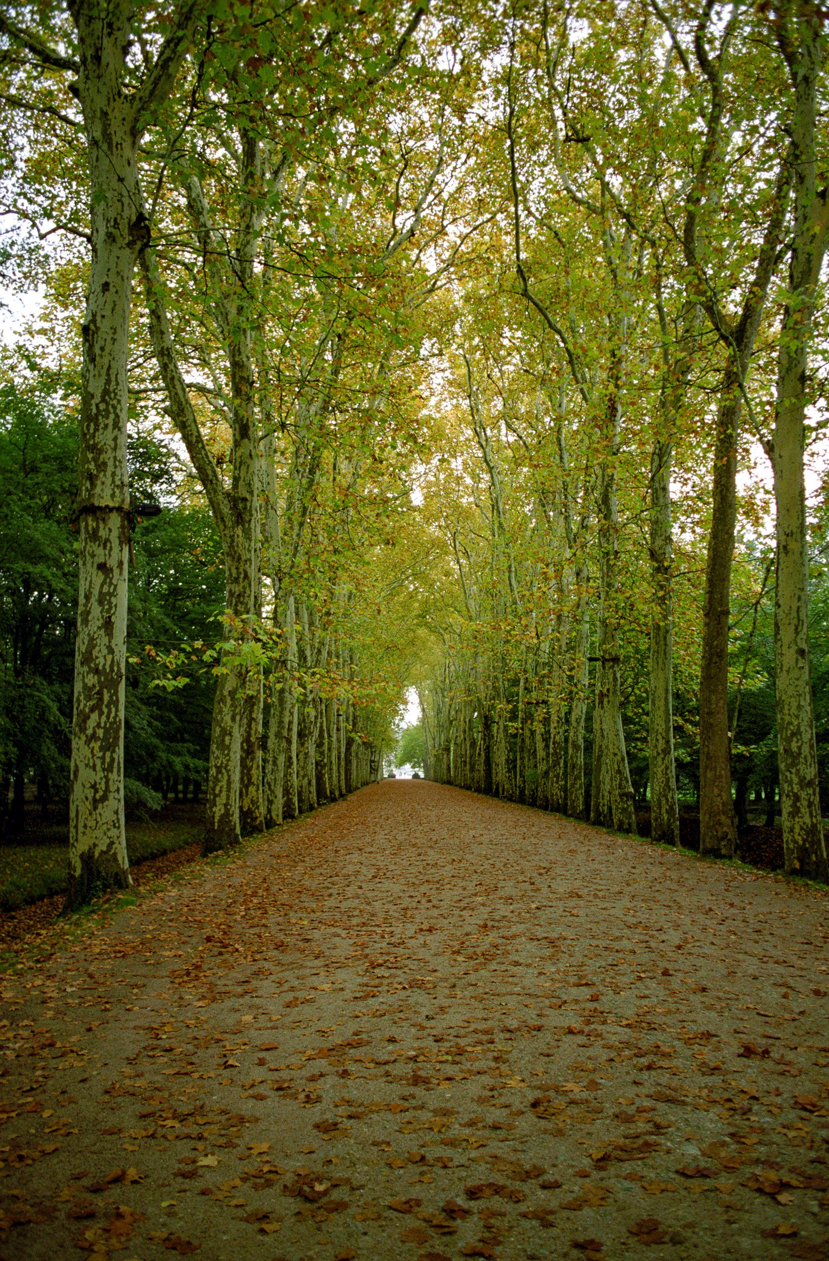 Heading to the Atlantic west of Bordeaux