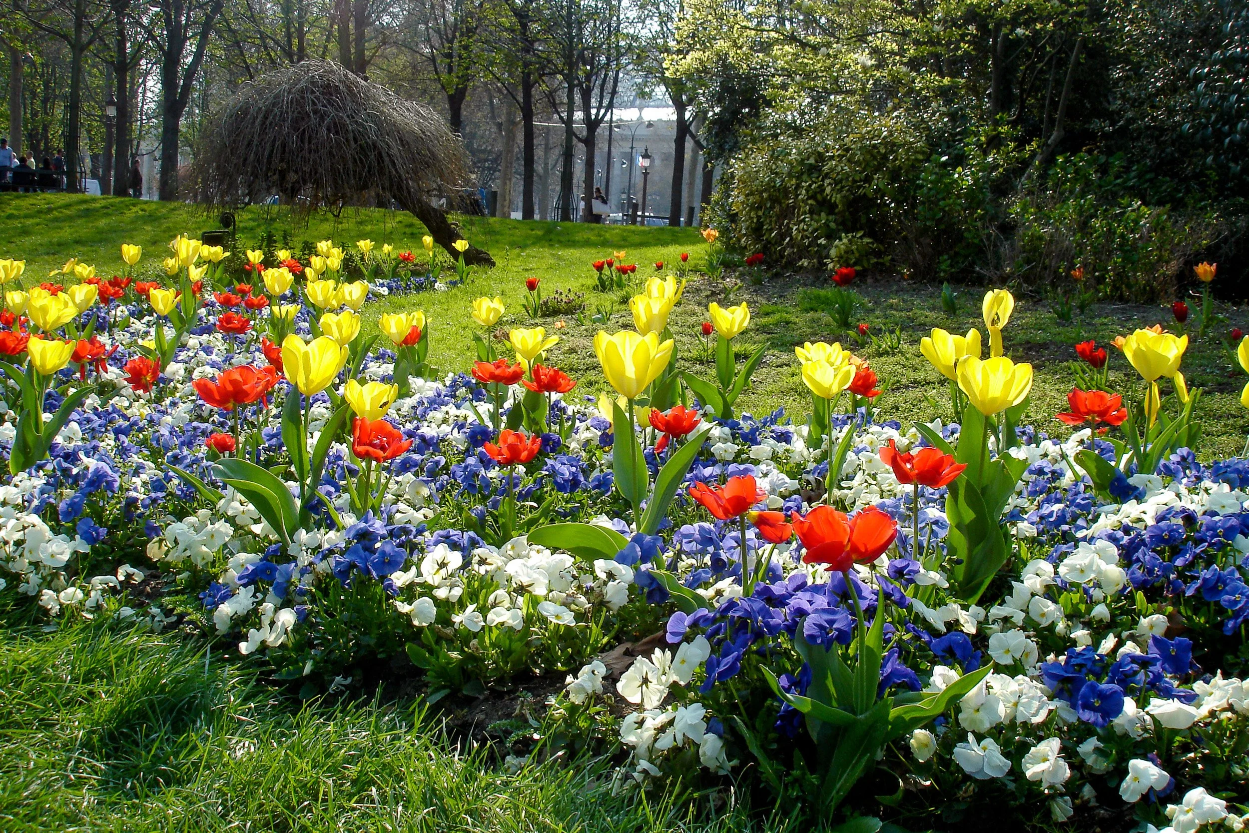 Champs d'Elysee garden