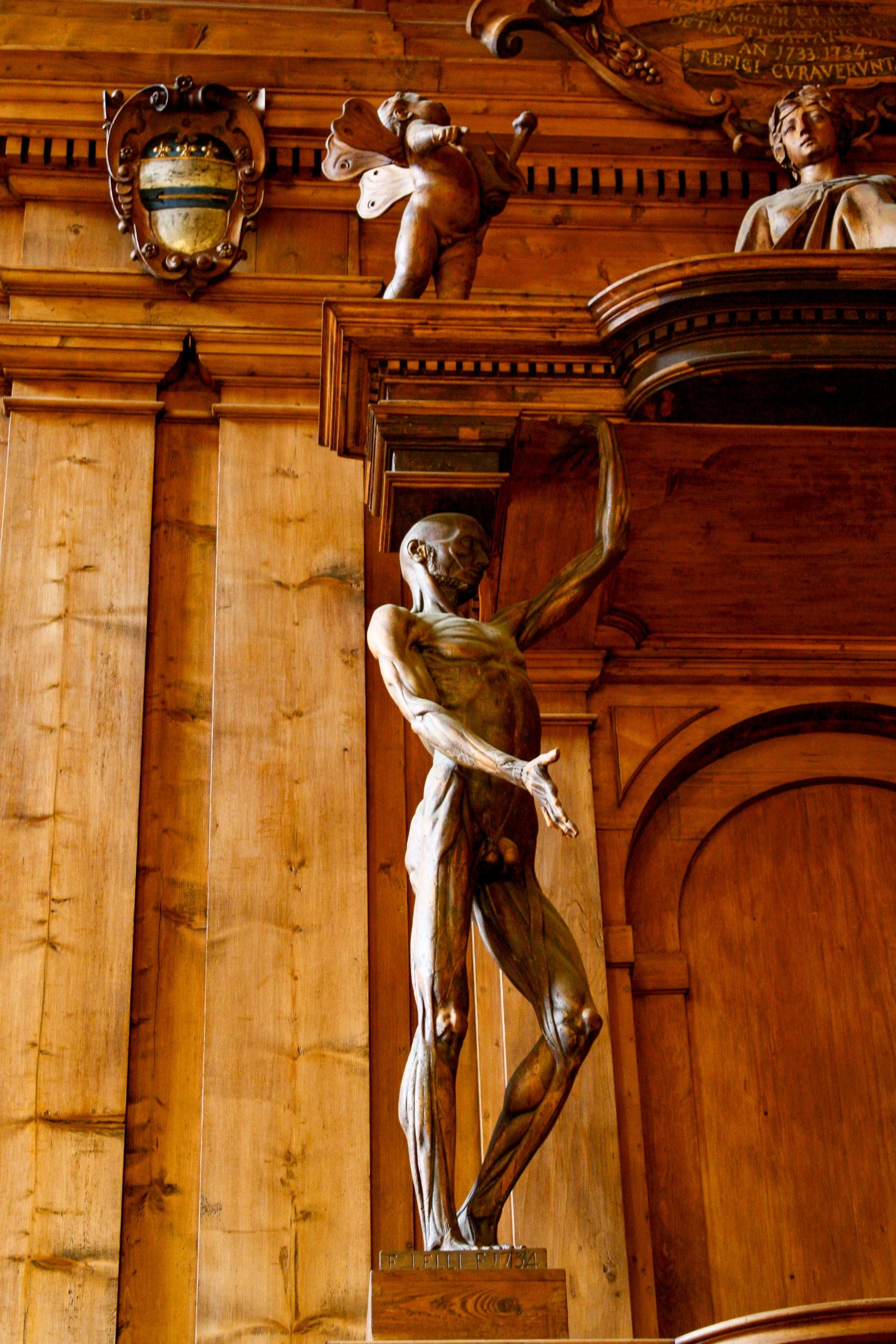 Anatomical Theatre detail