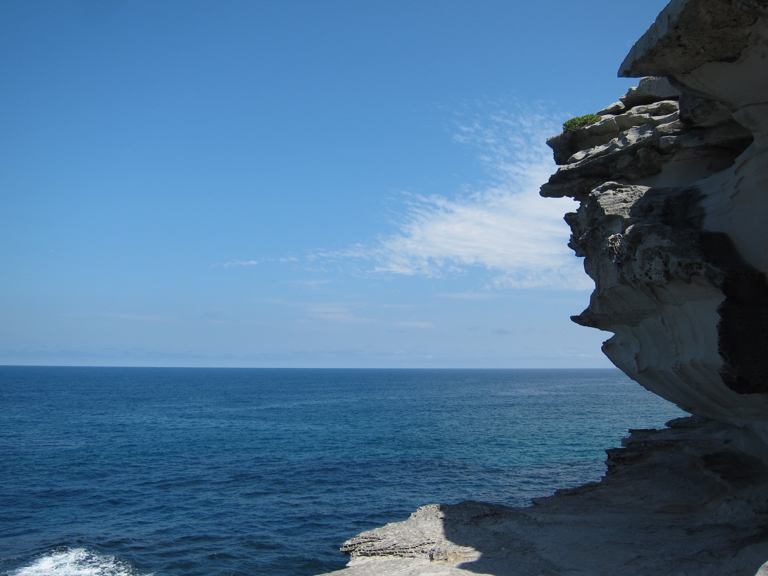 Sydney cliffs